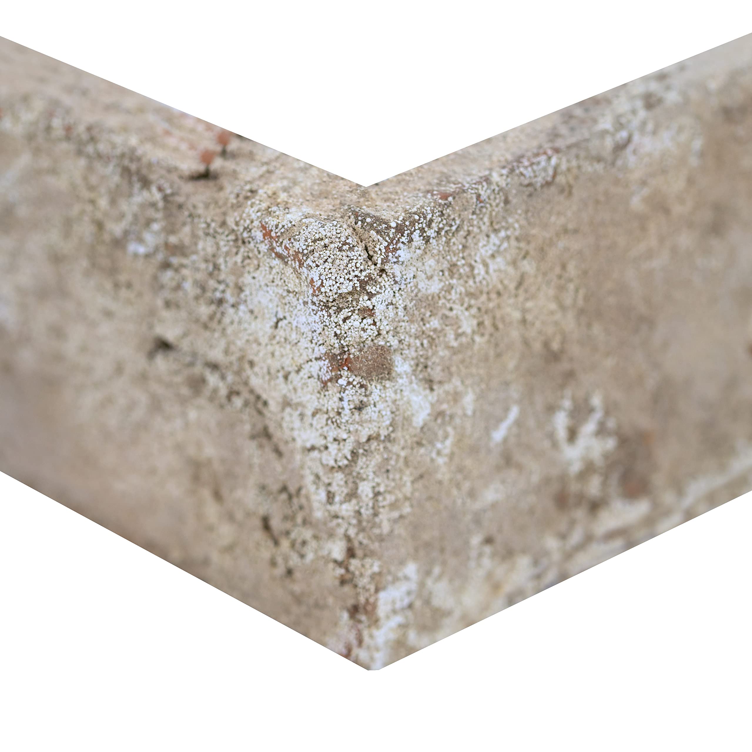 MSI Doverton Gray 2.25 in. x 10.75 in. Clay Brick Corner Tile for