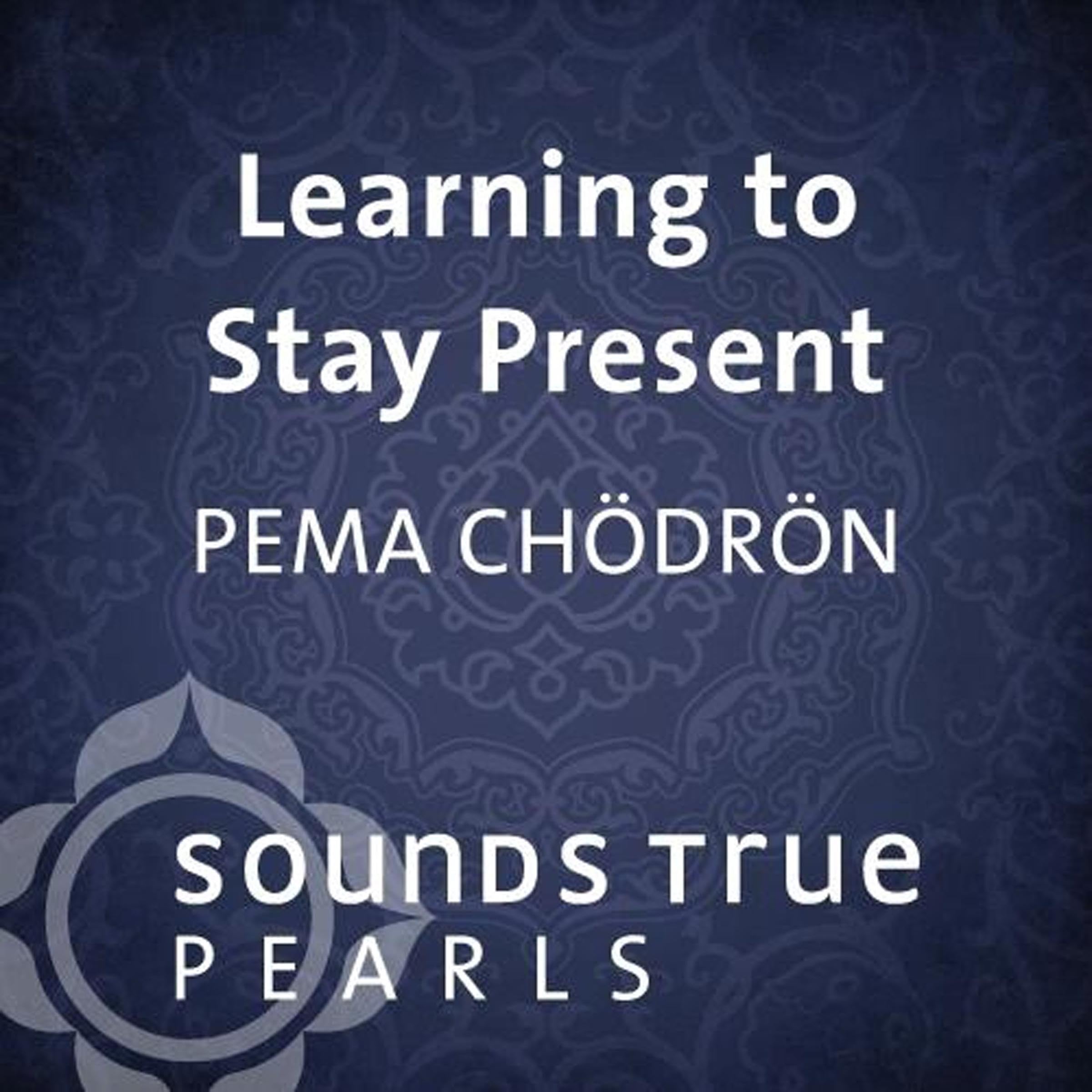 Cover art for Learning to Stay Present