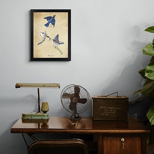 Vista 316 de Towee Bunting by James Audubon - Marco biselado negro de 12 x 16 pulgadas, decoración artística enmarcada para pared, reproducción de pinturas