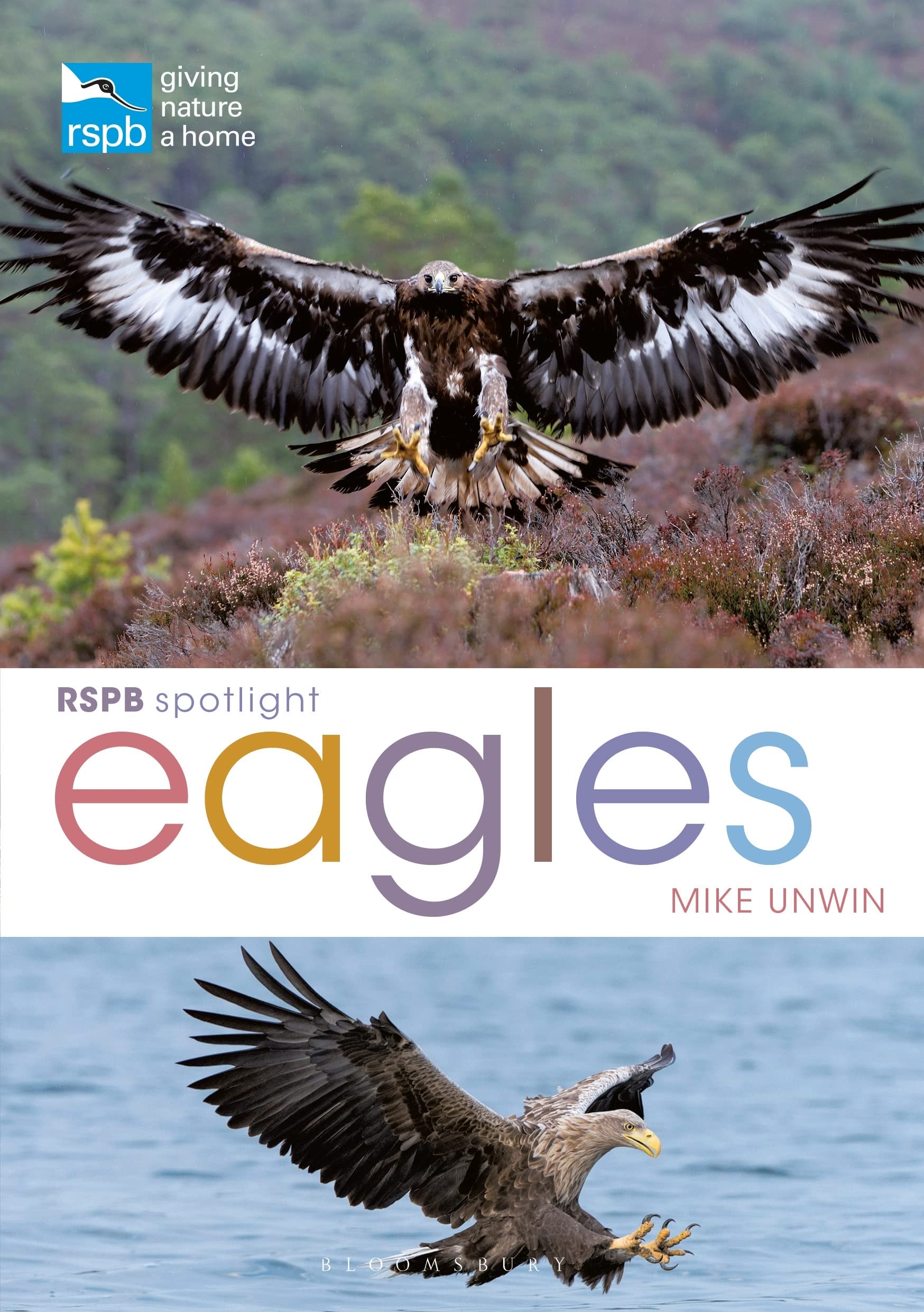RSPB Spotlight Eagles by Mike Unwin PAPERBACK 9781399402156