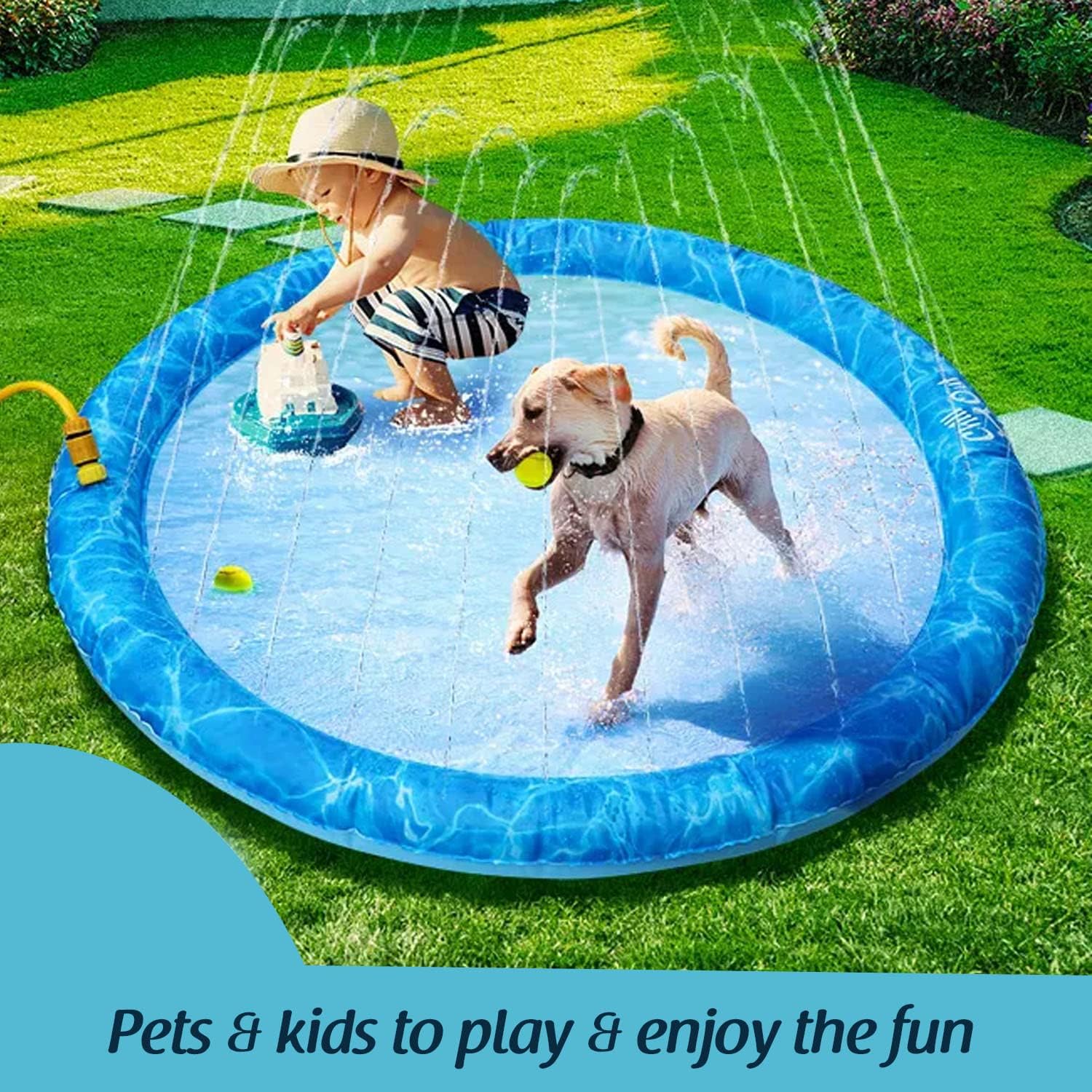 Water Tubs For Dogs at Jarrod Frey blog