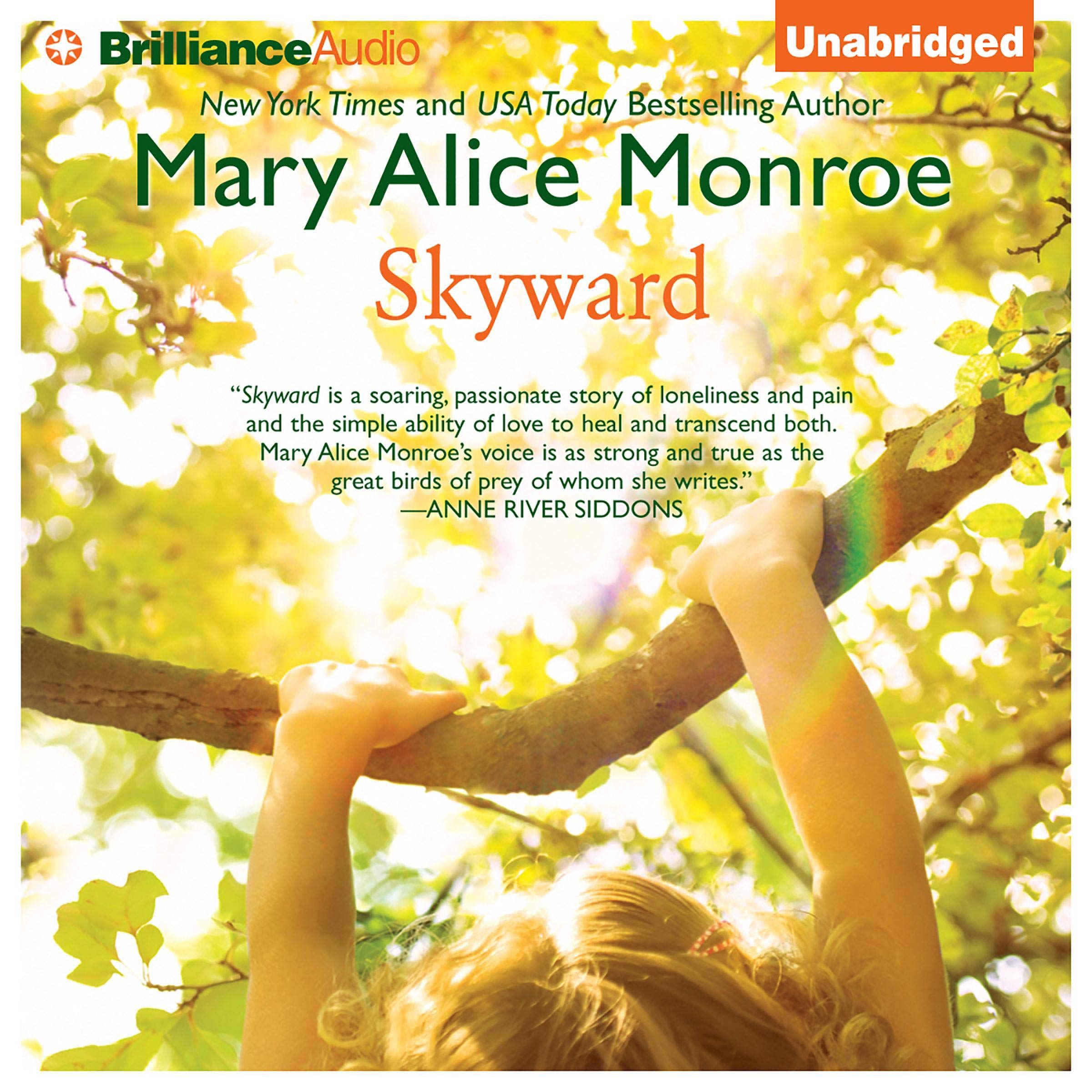 Cover art for Skyward