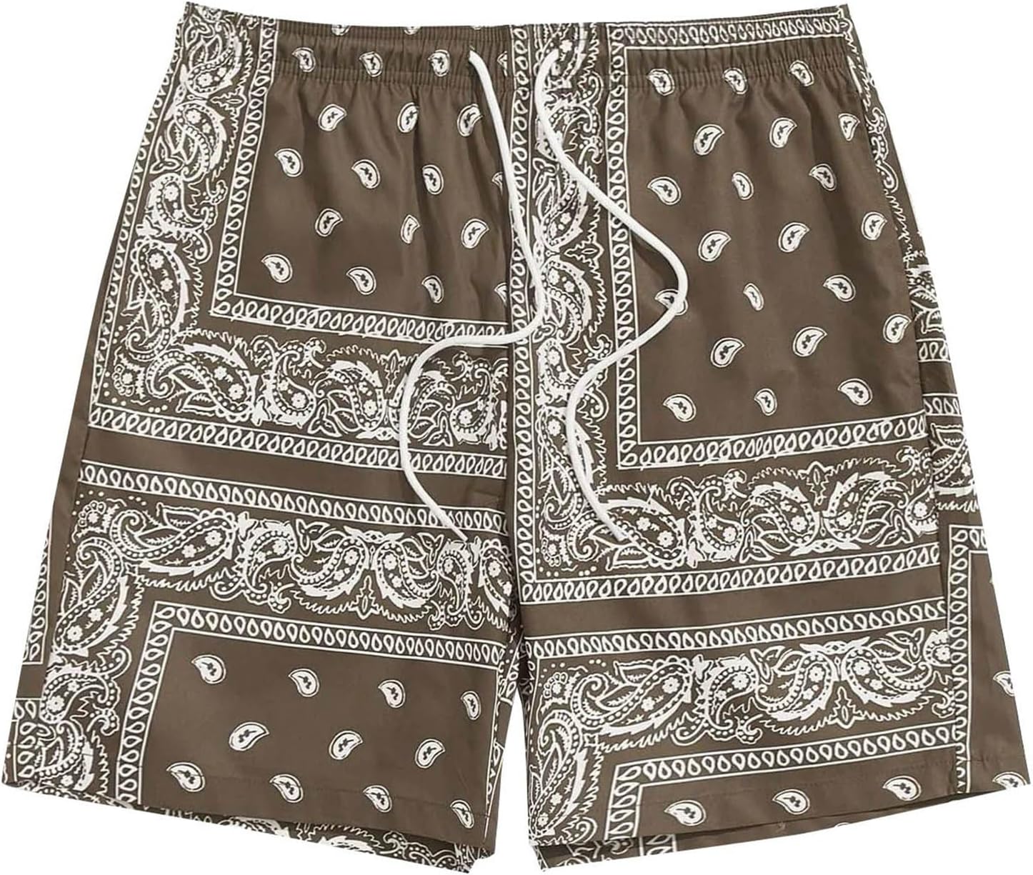 Men's Boho Tribal Paisley Print Drawstring Waist Summer Beach Hawaiian Cool Graphic Shorts Men