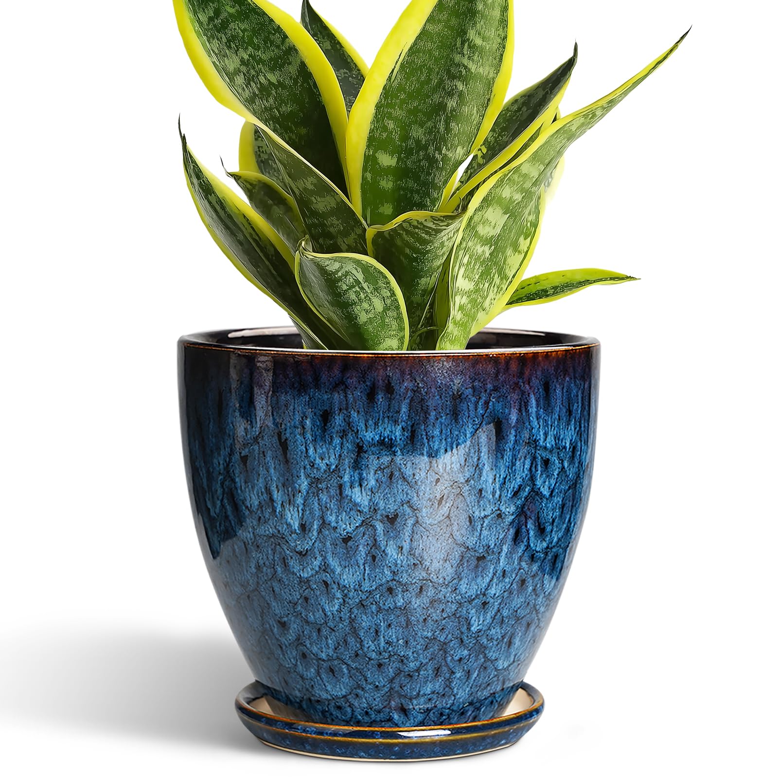 EPFamily Ceramic Plant Pot
