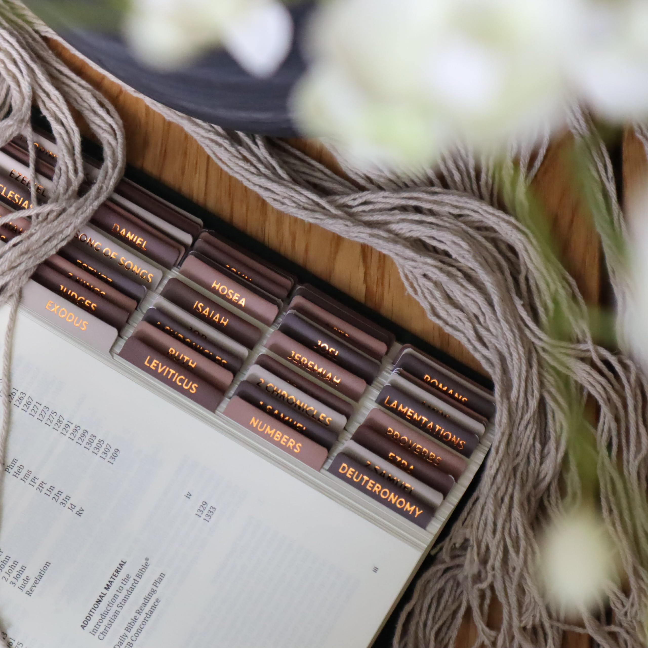 Salt & Light - Coffee Break - Bible Tabs - Matte Coated - Bible Journaling - Beautiful Index Tabs - 66 Books + 6 Free Tabs Indexing Tabs - Laminated - Durable - High Quality - Neutral - Women & Men