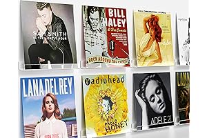 Vinyl Record Wall Mount: A Showcase for Your Vinyl Treasures