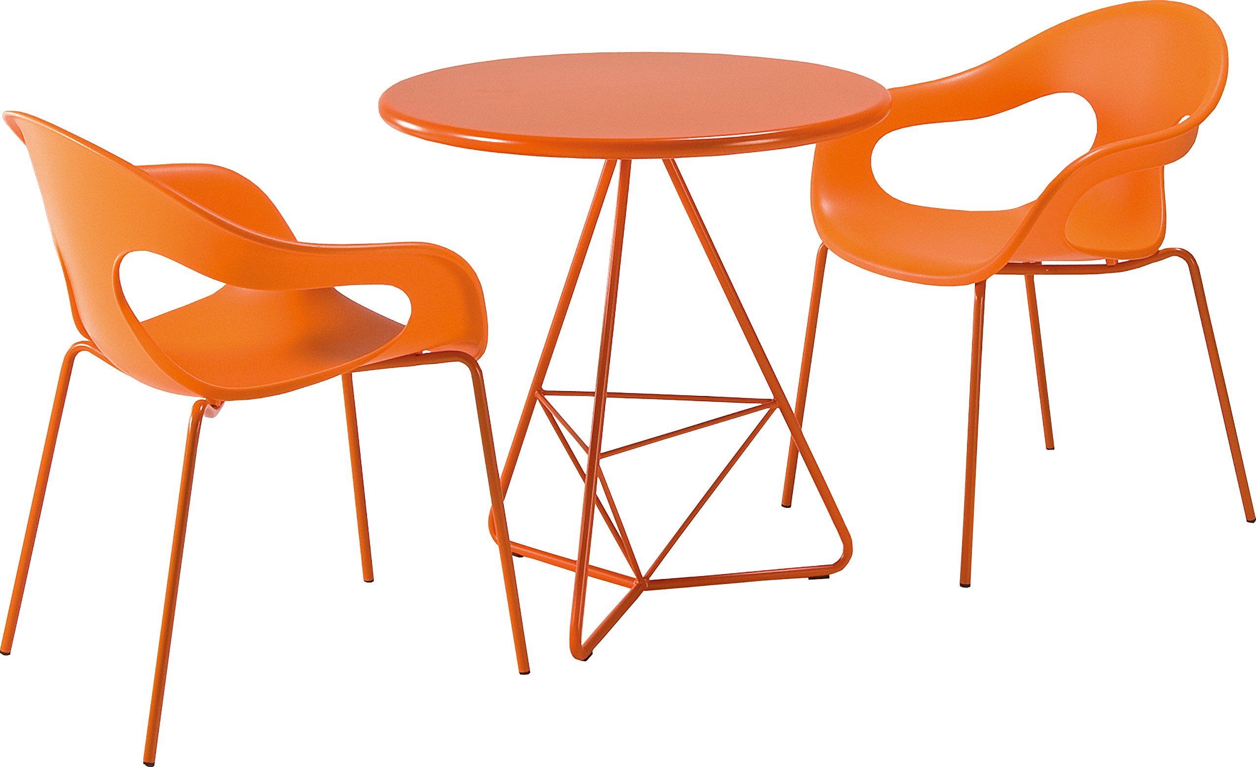 Amazon.co.jp: コレクションリビング SUNNY color【サニーカラー Amazon.co.jp: コレクションリビング SUNNY color【サニーカラー