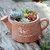 植木鉢✳︎テラコッタポット✳︎陶器✳︎観葉植物プランター多肉 Amazon.co.jp: WJFMZS プランター植物ポット-テラコッタ陶器