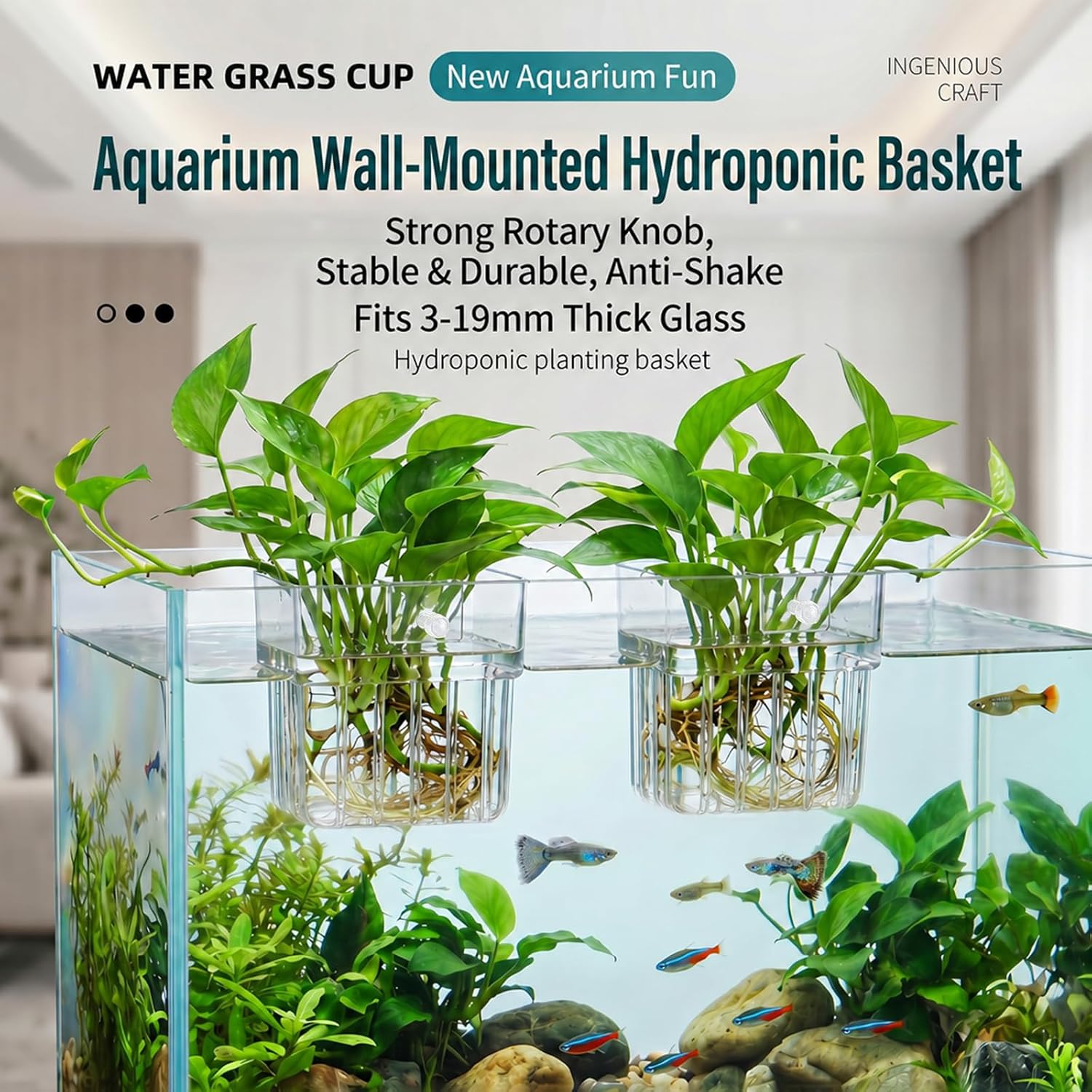 Chedin 2 Pack Acrylic Aquarium Plant Holder with Hanging Hooks