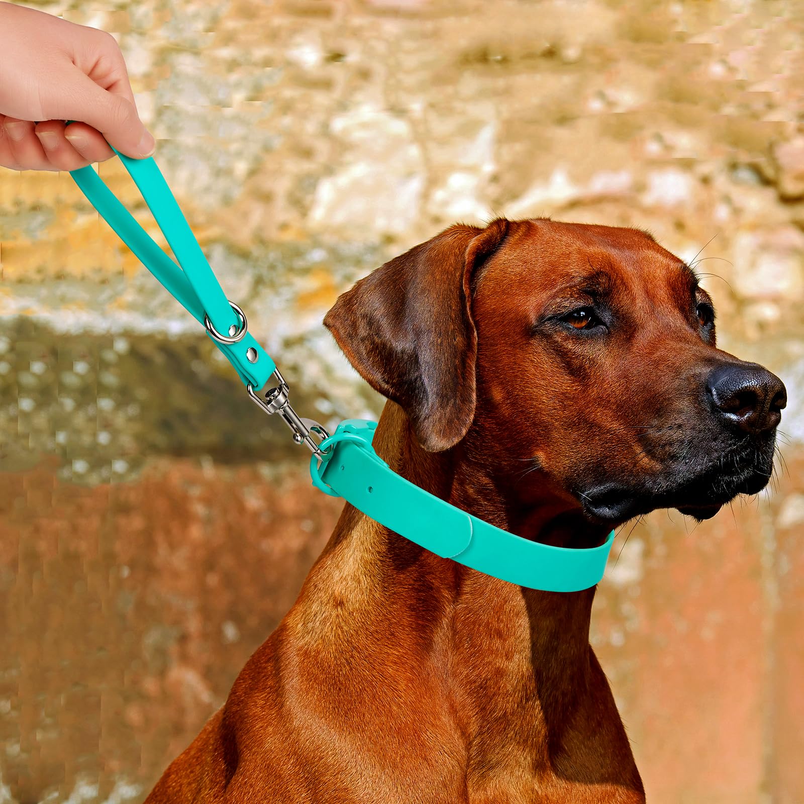 Correa corta para perro, correa verde de 9 pulgadas, resistente al agua, PVC, correas de tráfico para entrenamiento de perros, control de seguridad, corrección de comportamiento, senderismo, respaldo