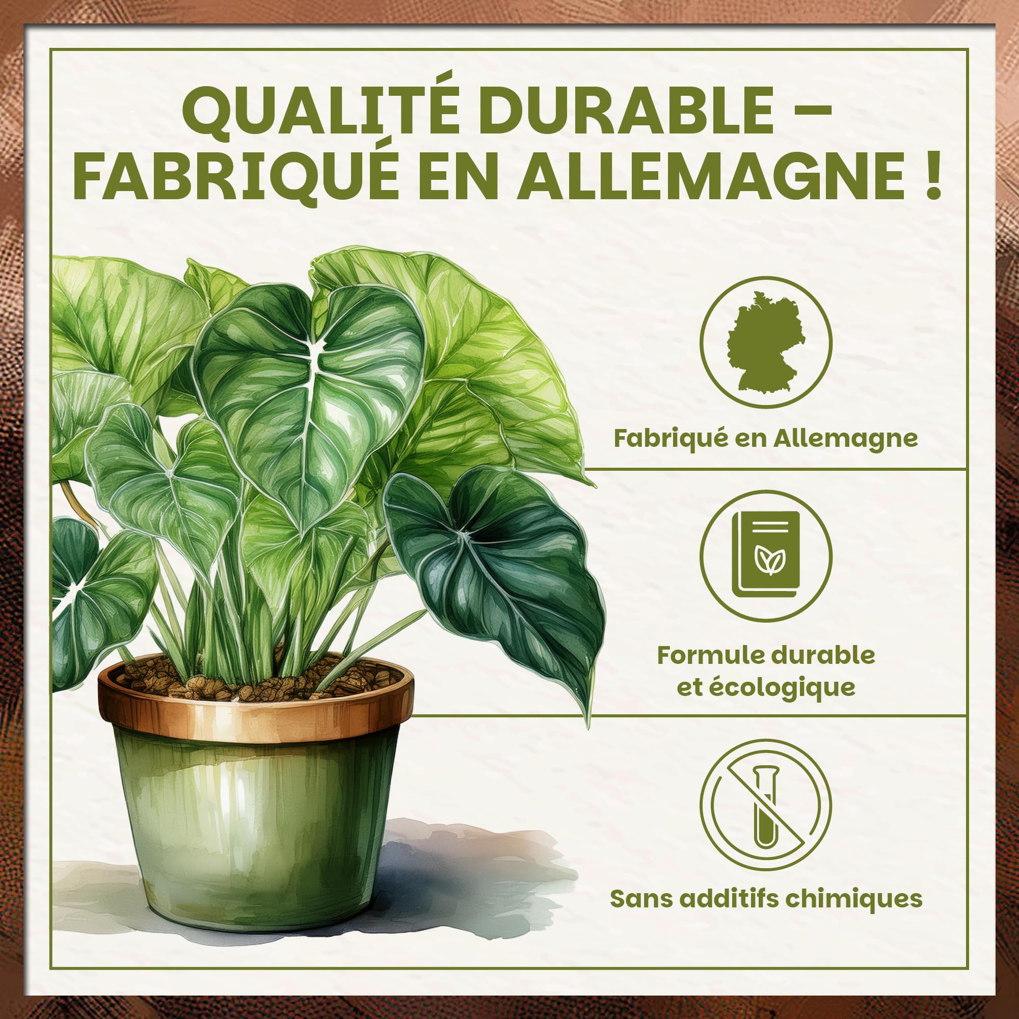 Green Home Terreau Aroides 72L – Substrat pour Monstera, Philodendron & Plantes Tropicales – avec Perlite pour Un Drainage Optimal – pour bonsaïs, Palmiers & orchidées