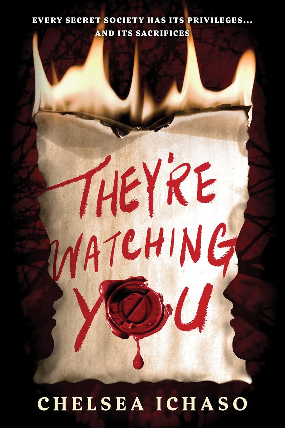 They're Watching You 9781728251066 Ichaso, Chelsea Books