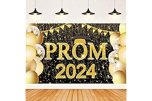 Prom 2024 Banner Backdrop for Prom Party Decorations