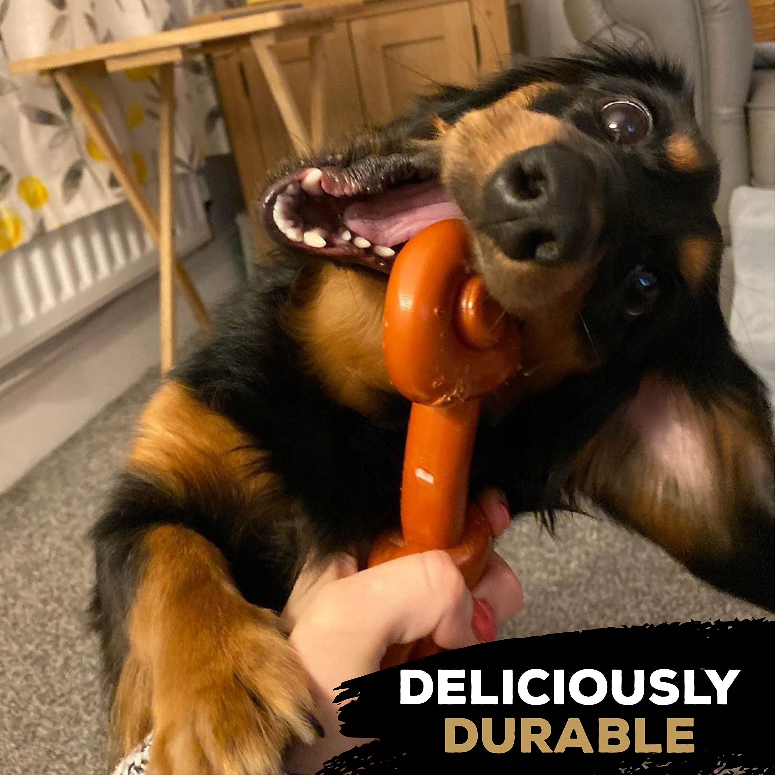 TastyBone Knotted Nylon Dog Chew Toy for Small Medium & Large Dogs (Roast Chicken) - Image 2
