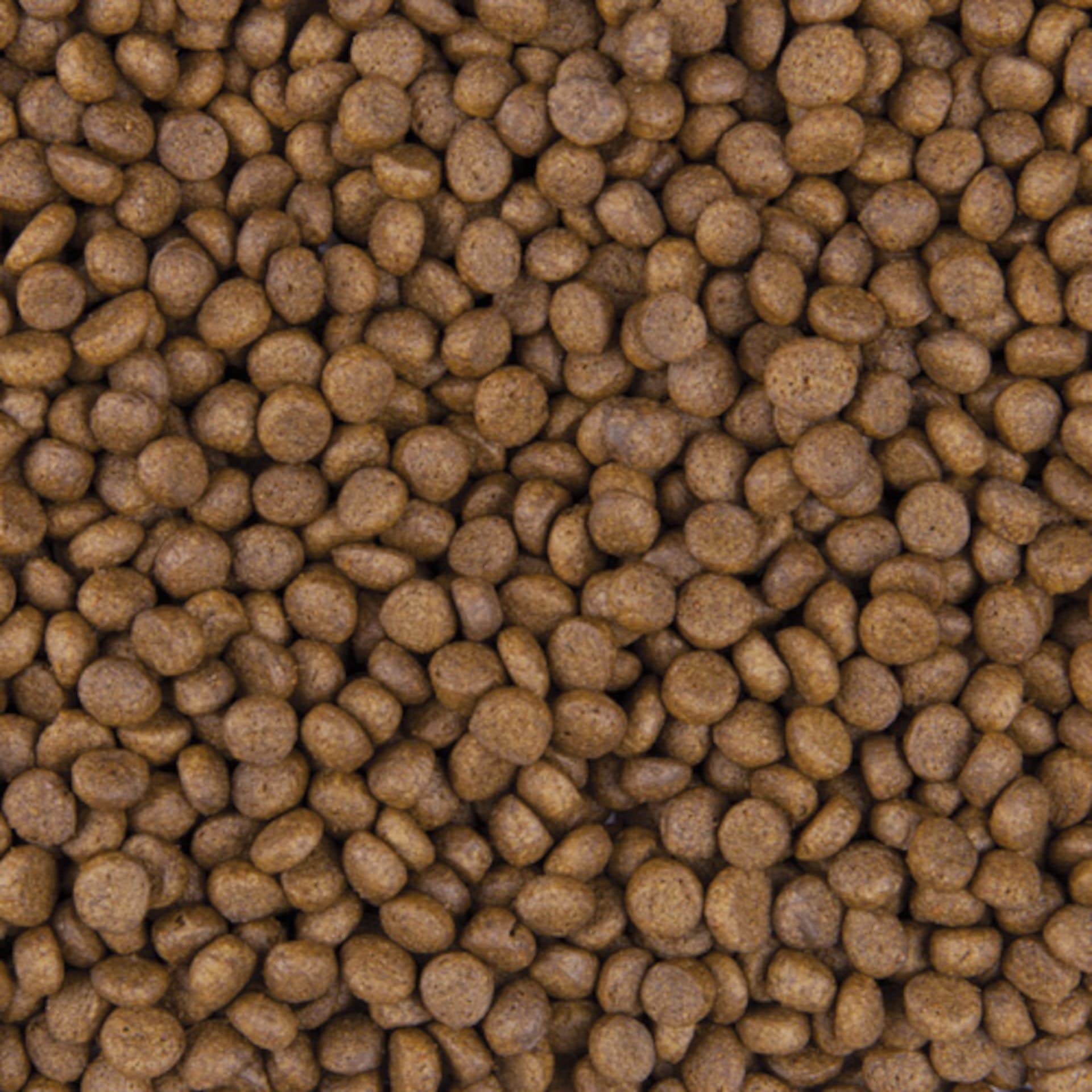 Super Premium Welpenfutter mit Lamm, Lachs und Eiern für kleine Hunde 8kg