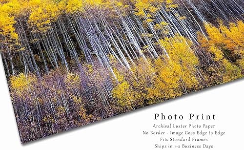 Miniatura 7 de Forest Photography Print (Not Framed) Picture of Aspen Trees Appearing as Reflection on Side of Mountain on Autumn Day at Maroon Bells Colorado