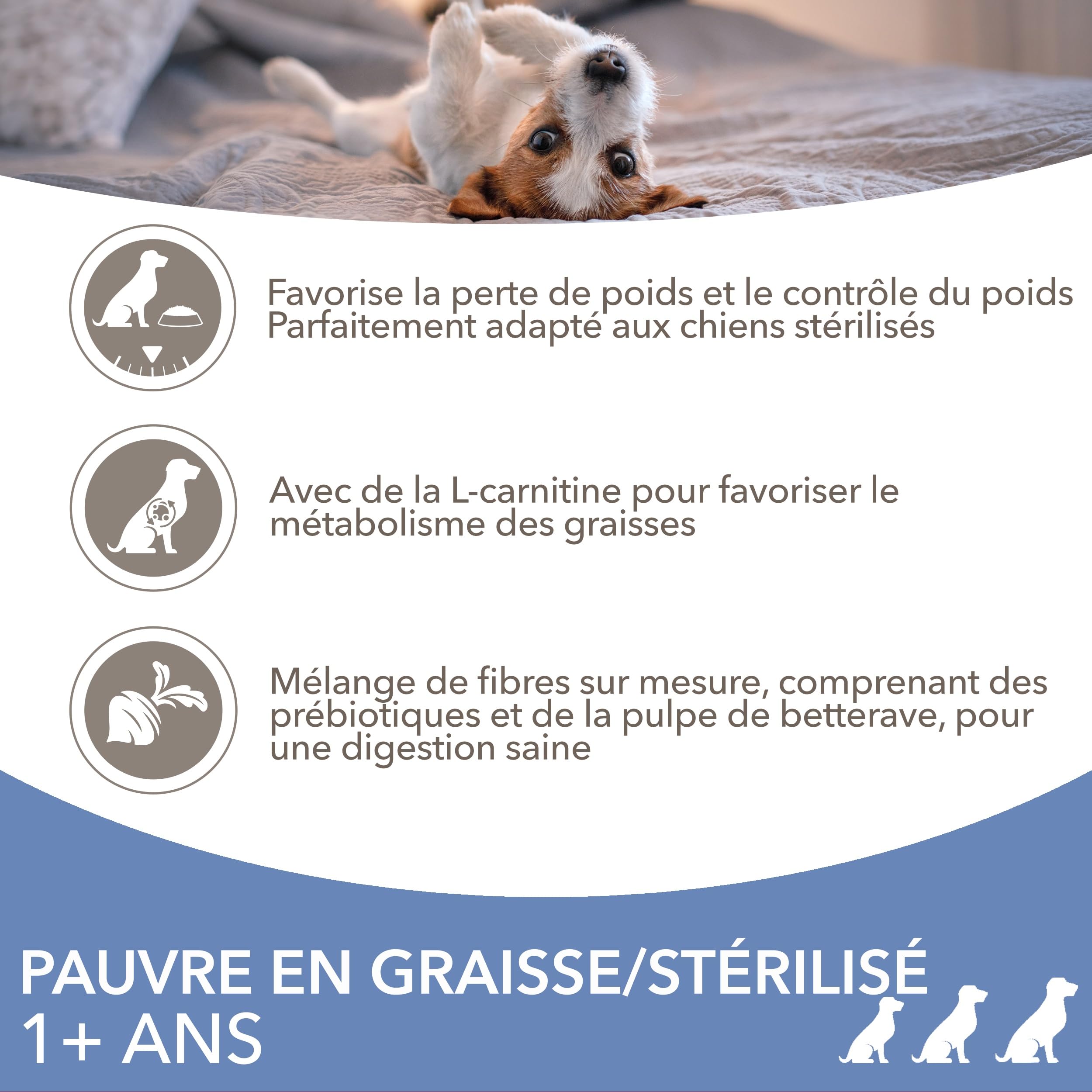 IAMS Vitality Chien Adulte Léger Petite/Moyenne Poulet 12 kg