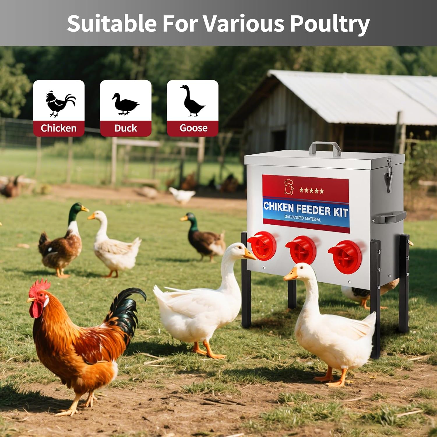 RYFT Chicken Feeder Box 30 Lbs-6 Feeding Port, Galvanized Metal No - Waste Poultry Feeder with Adjustable Legs & Locking Lid