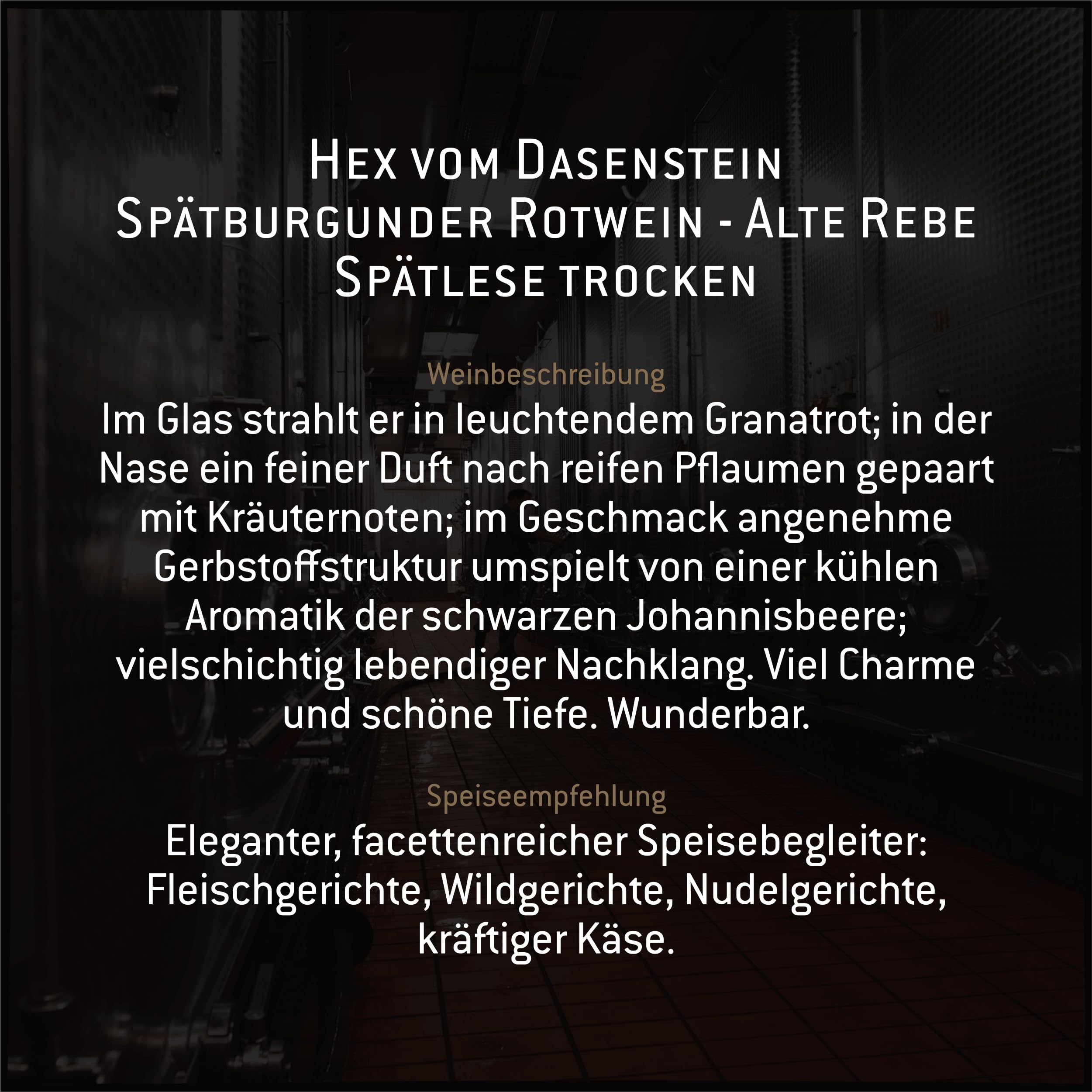 Hex vom Dasenstein Spätburgunder Rotwein Spätlese trocken ALTE REBEN - vollendet in Ausbau und Lagerung, samtig und nachhaltig im Geschmack - Badischer Wein, Anbaugebiet Ortenau (3 x 0,75l)