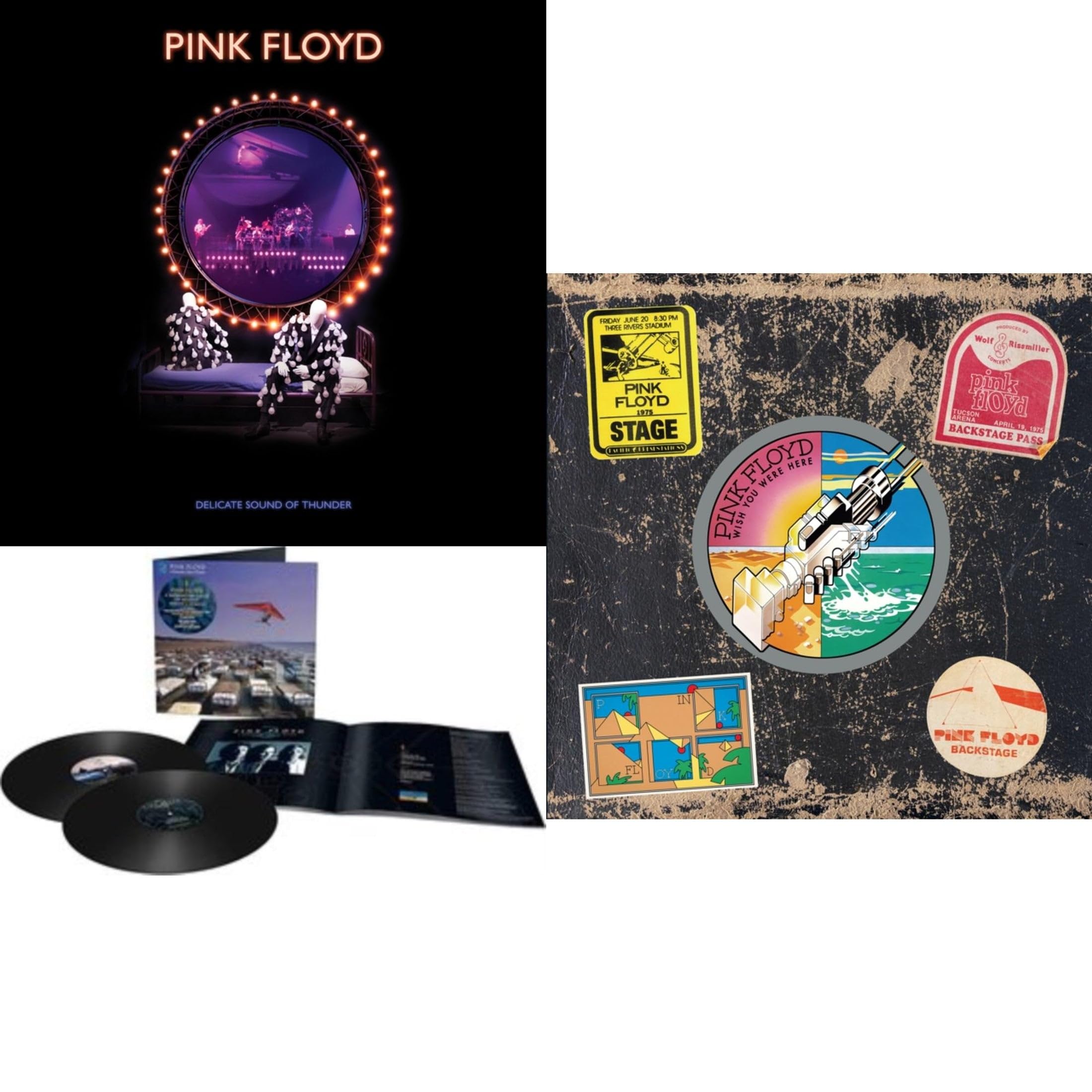 KC Delicate Sound Of Thunder Momentary Lapse Of Reason Remixed & Updated Wish You Were Here 50Th Anniversary