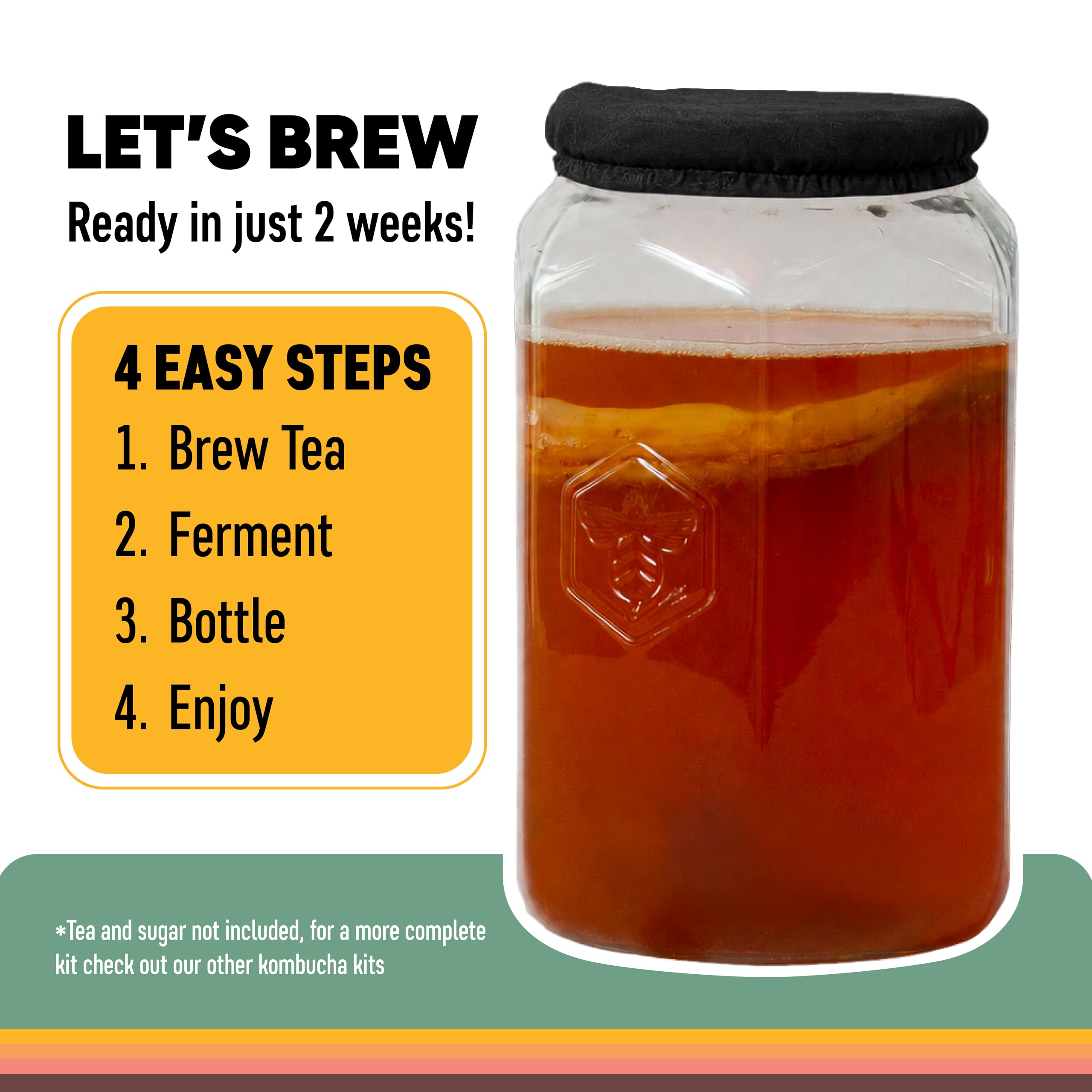 Craft A Brew Kombucha Basic zestaw startowy – do domowego warzenia – zawiera świeży kombucha SCOBY Starter, 1 galonowy słoik do fermentacji, pokrowiec na ściereczkę, przewodnik warzenia