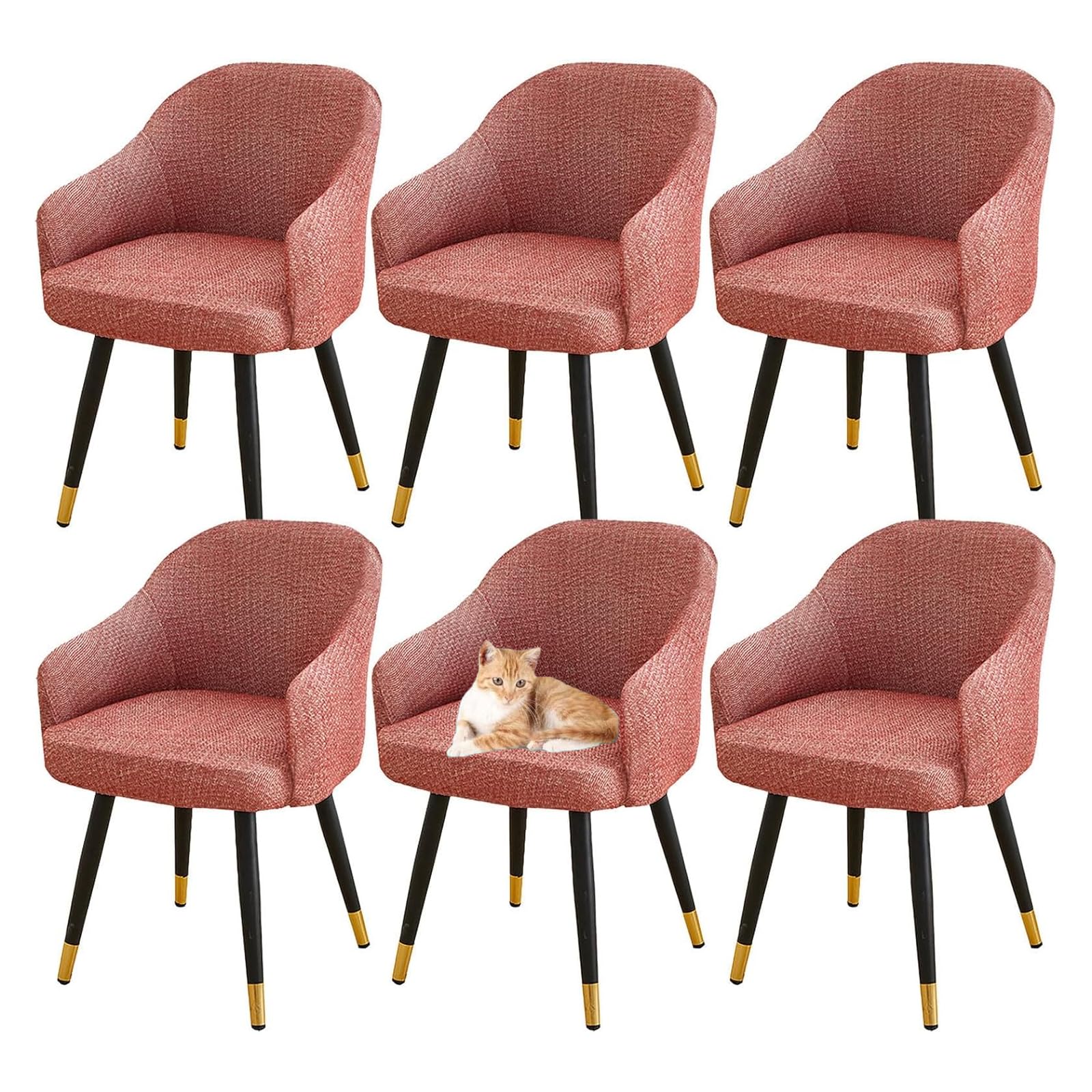 GUYIRT Stretch Curved Back Dining Chair Covers Curved Back Accent Chair Slipcover Removable Washable Bar Stool Slipcovers for Banquet Decoration (red,set of 6)