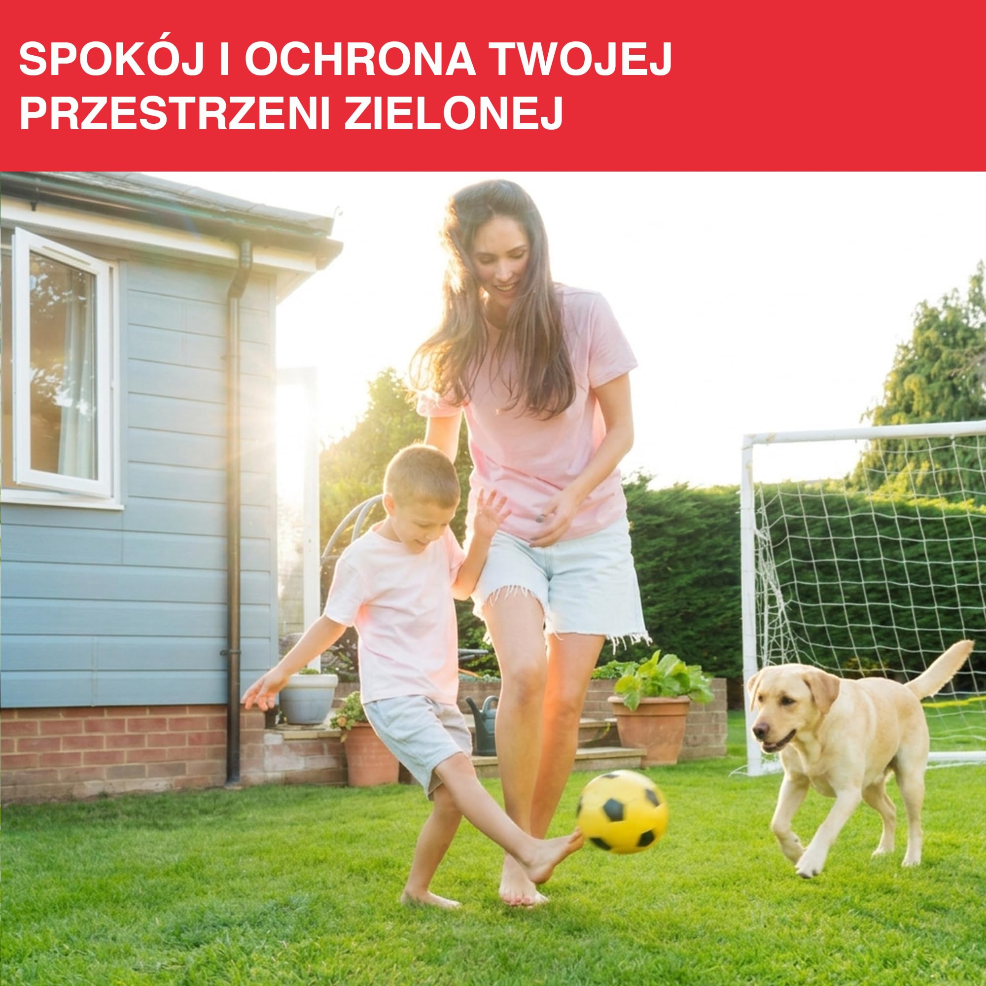 SWISSINNO Solarny Odstraszacz Kretów i Nornic do 650 m², Ultradźwiękowy i Wibracyjny Odstraszacz Gryzoni, Zasilanie Solarne, Wodoodporny, do Ogrodu, Trawnika i Działki, 1 szt.