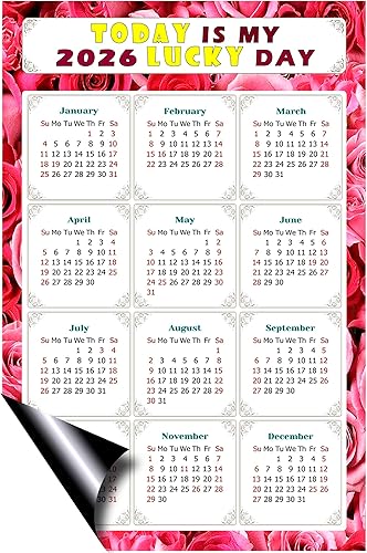Miniatura 2 de Calendario magnético 2024  Imanes del calendario  Today is my Lucky Day  Resistente a la decoloración, desgarros y agua  Temático 028 (7 x 10.5)