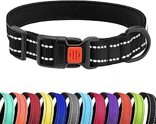 CollarDirect Reflektierendes Hundehalsband für kleinen, mittelgroßen, großen Hund, Welpen mit Schnellverschluss, Hündin, Rüde, 48 Sorten, Nylon Wasserfest product image