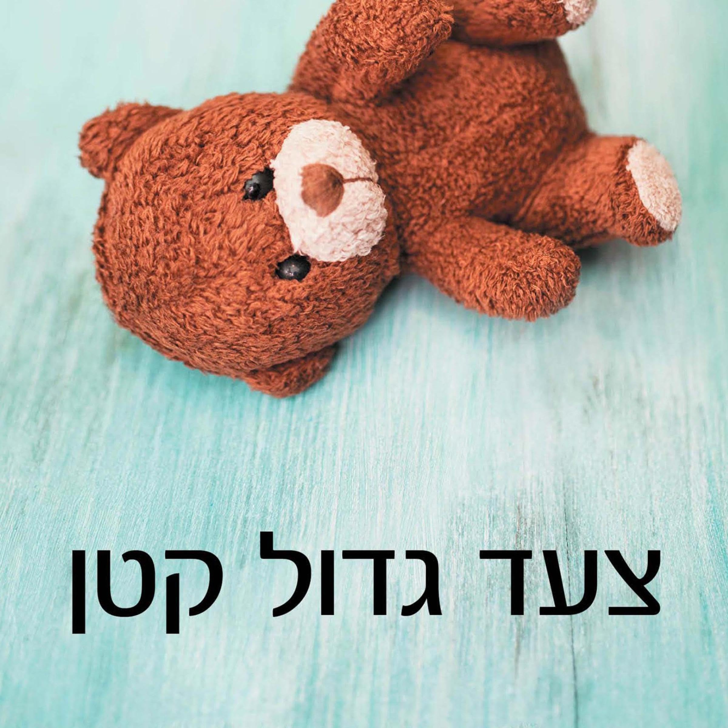 צעד גדול קטן