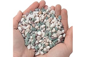 "Polished Succulent Rocks" Sparkling Your Green Heaven