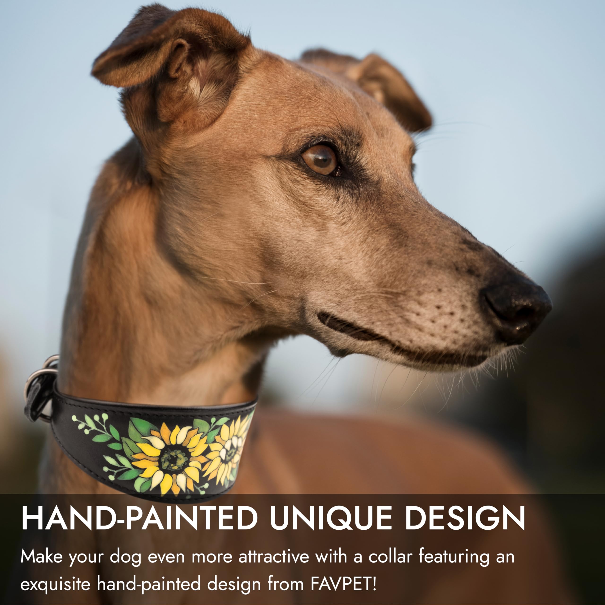 FAVPET Hand Painted Sighthound Leather Collar with ID Tag QR for Whippet Italian Greyhound Saluki Borzoi Lurcher Spanish Galgo Azawak Afghan Hound - Image 2