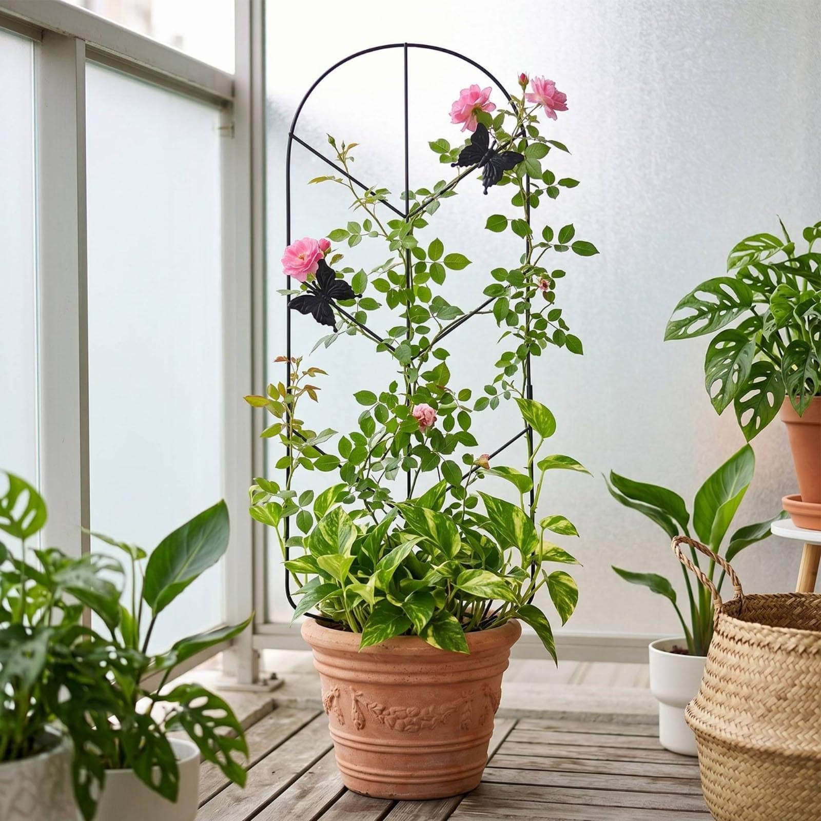 Support de Grimpe pour Plantes Treillis Tuteur Cadre Structure en Métal Noir Robuste Maintien des Lianes et du Lierre Adapté à Intérieur Terrasse Salon Véranda