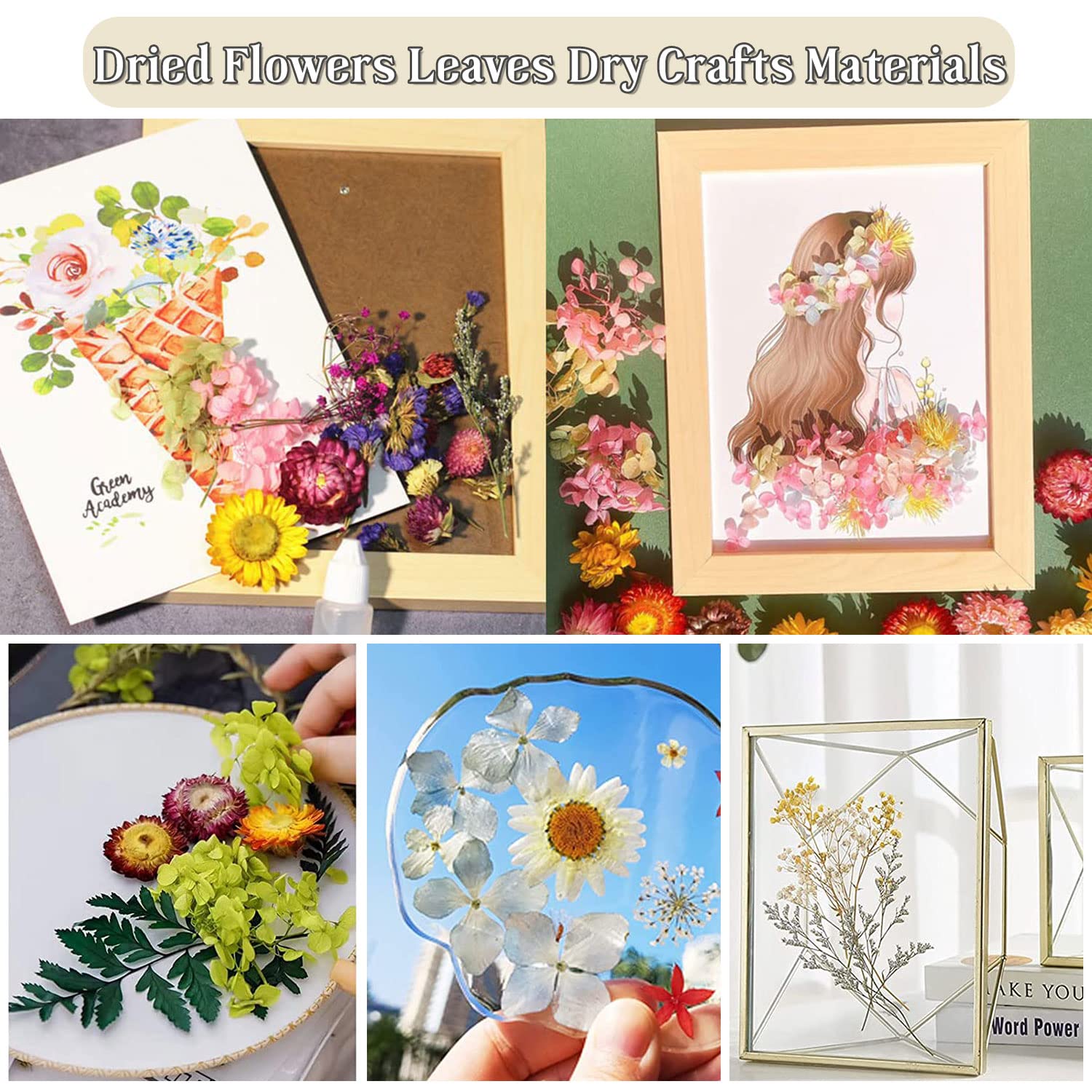 Fiori Secchi Naturali Per Resina - Set 12 Tipi, Per Decorazioni Fai Da Te, Bianco