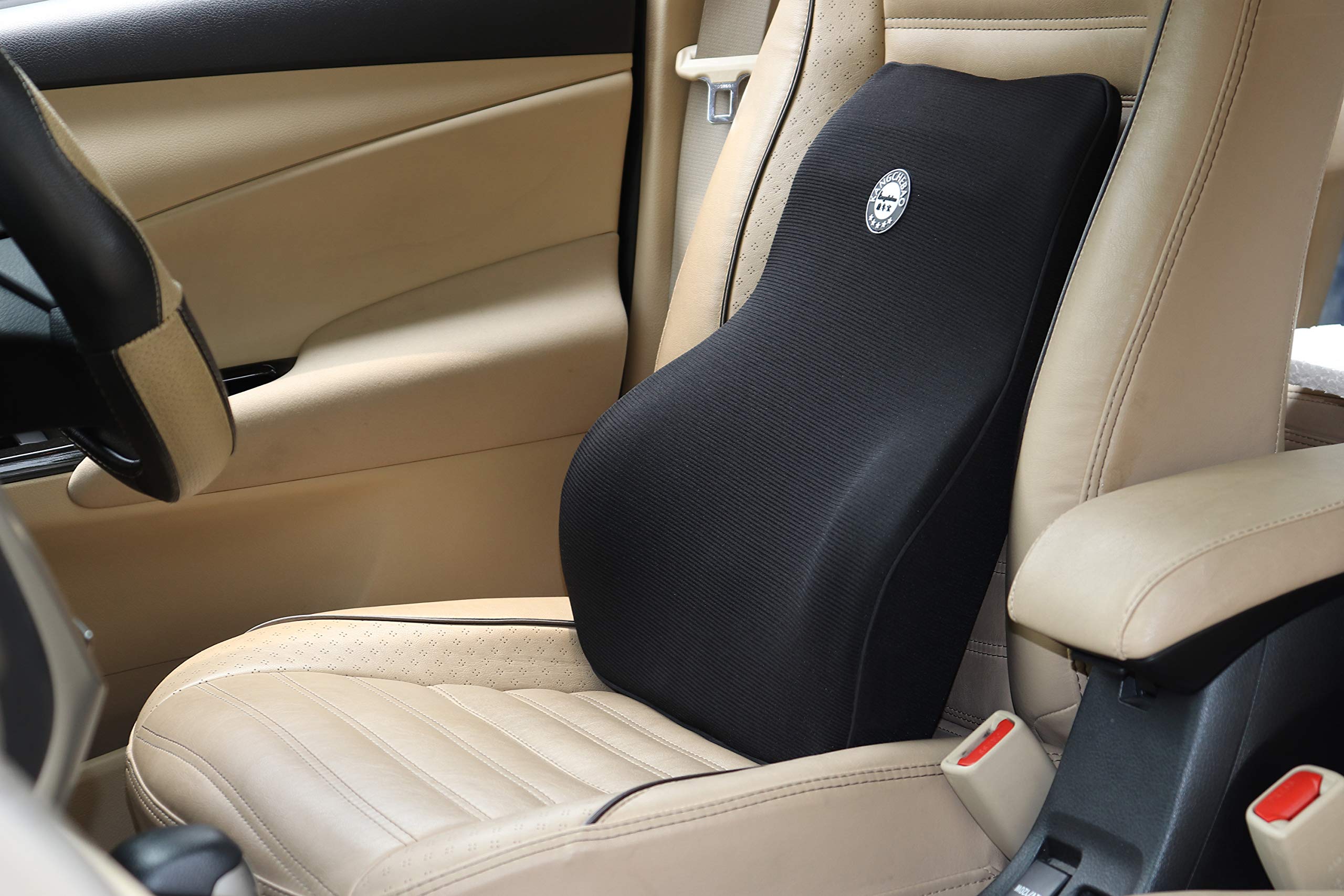 Oshotto Air Fabric Lumbar Support for Office Chair | Back Pillow for Car | Memory Foam Orthopedic Cushion - Provides Low Back Support (Black)