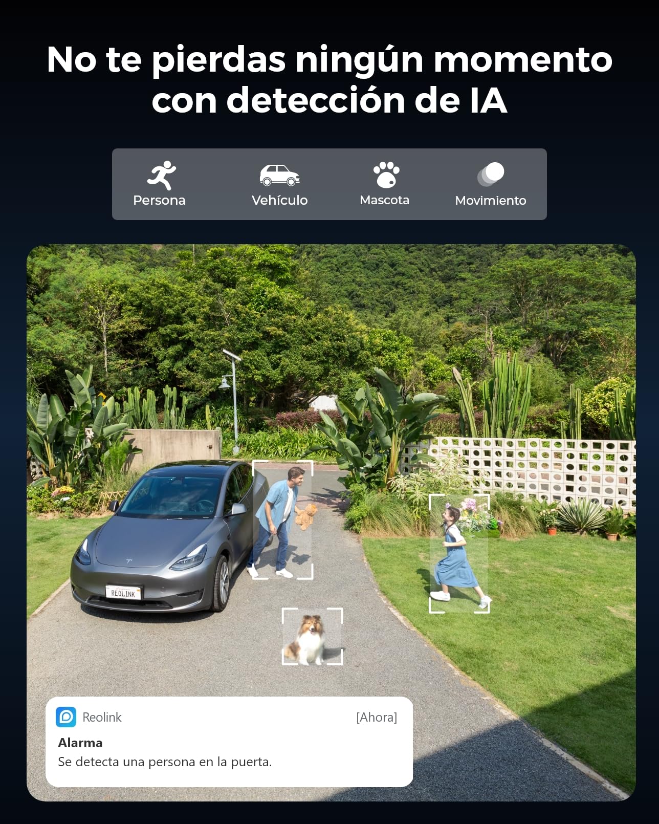 Reolink 4K Camara Exterior WiFi Solar, PTZ & 6×Zoom, Seguimiento Automático | Doble Lente, Zoom Óptico, 355° Pan y 50° Tilt, Detección de IA, Visión Nocturna a Color, Argus Track con Panel Solar de 6 W