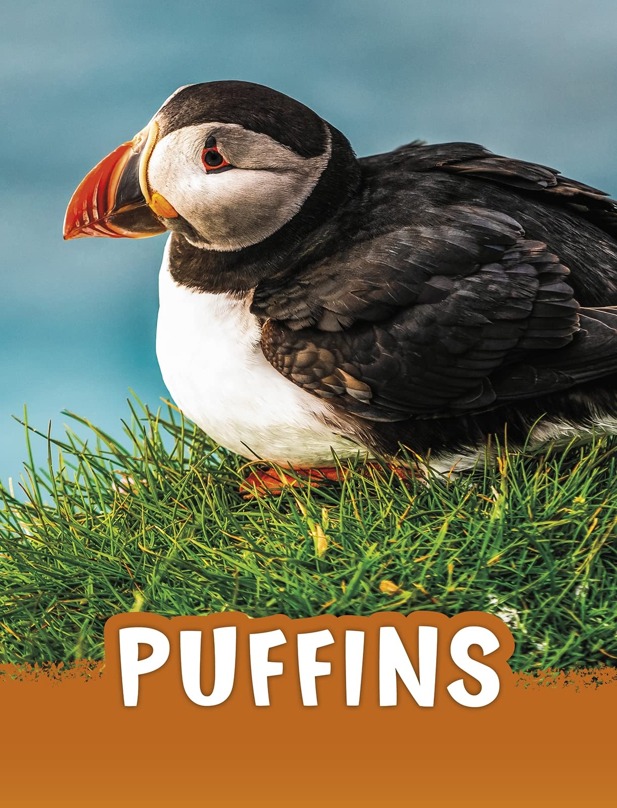 Puffins by Jaclyn Jaycox - 9781398202450