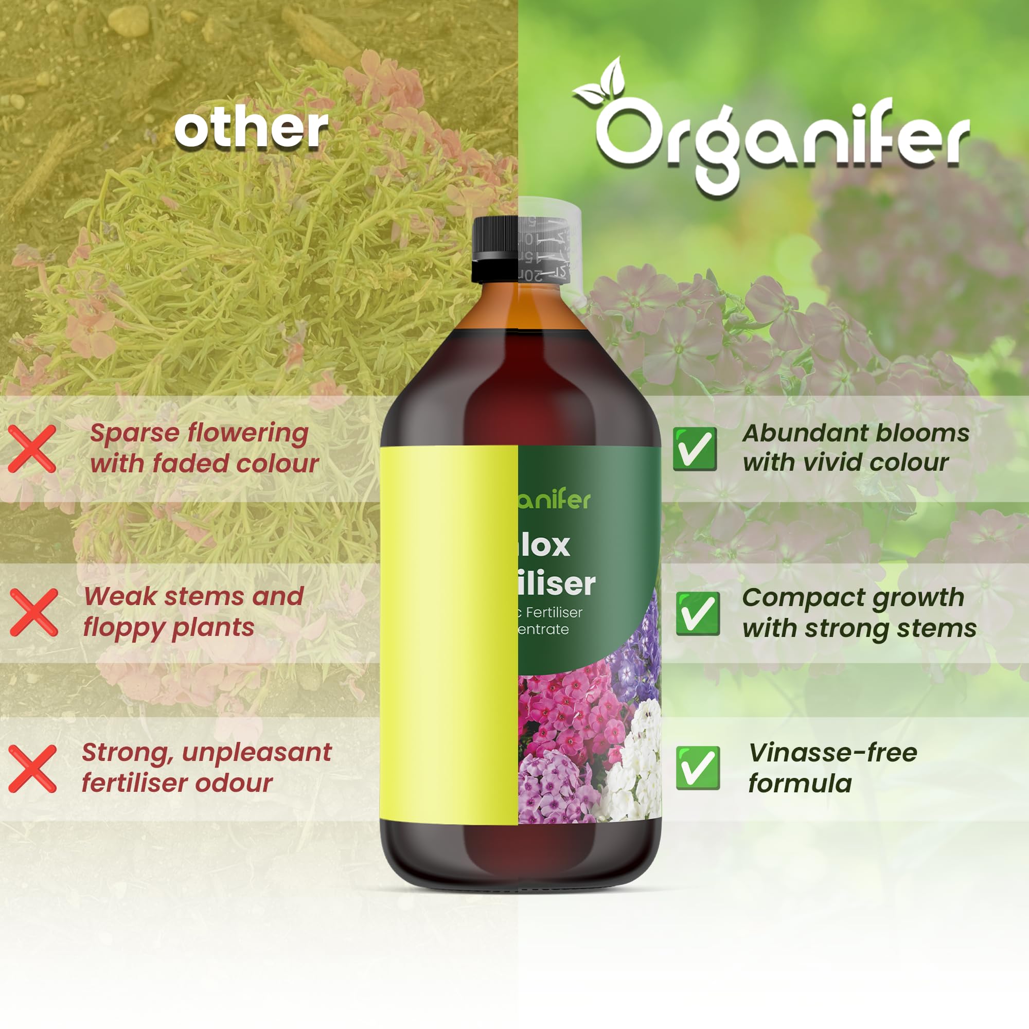 Phlox Nawóz Organiczny Do Kwiatów - 3x1L - NPK 2-1-8 | Zdrowe Liście - Silne Korzenie I Wysoka Plonność - Organifer