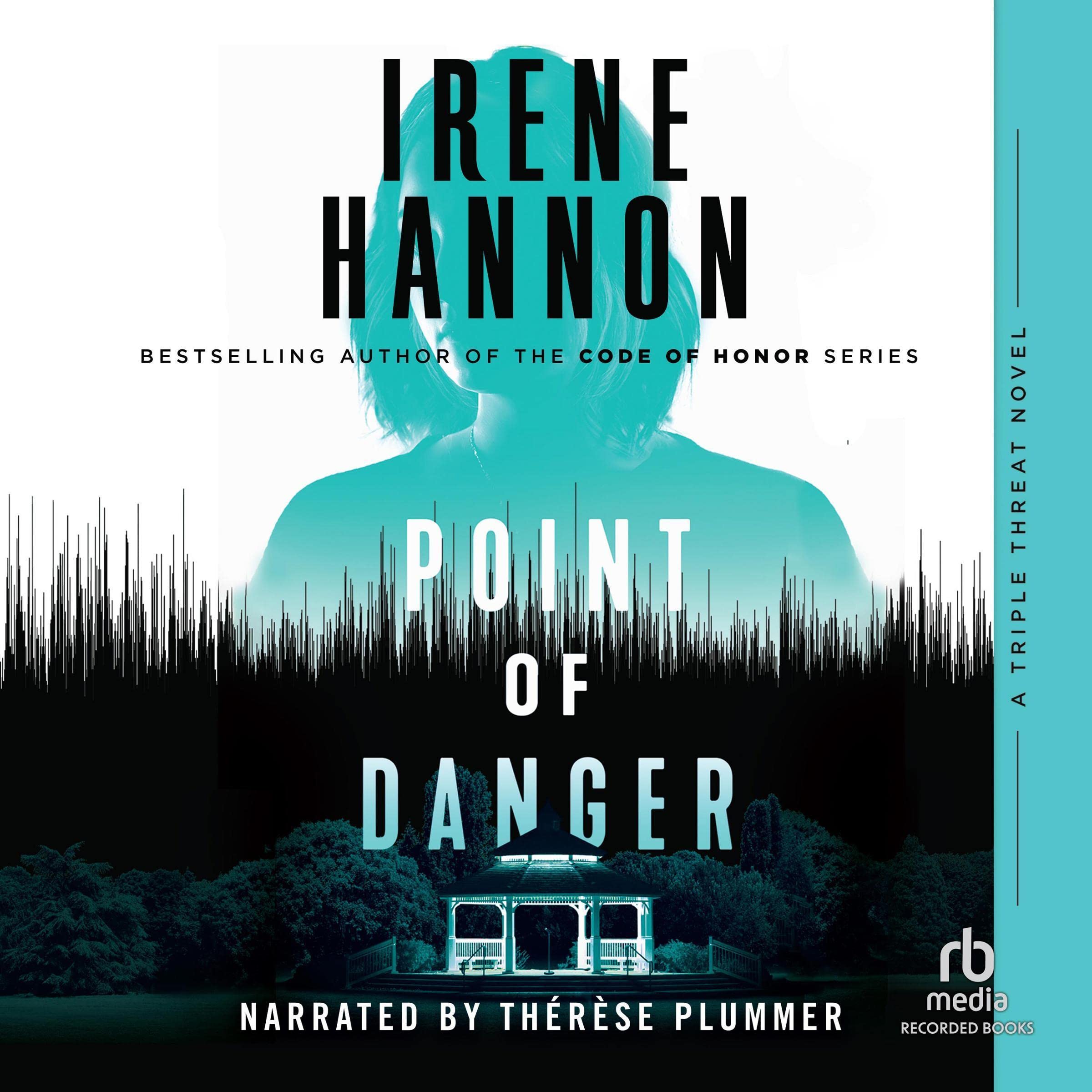 Cover art for Point of Danger