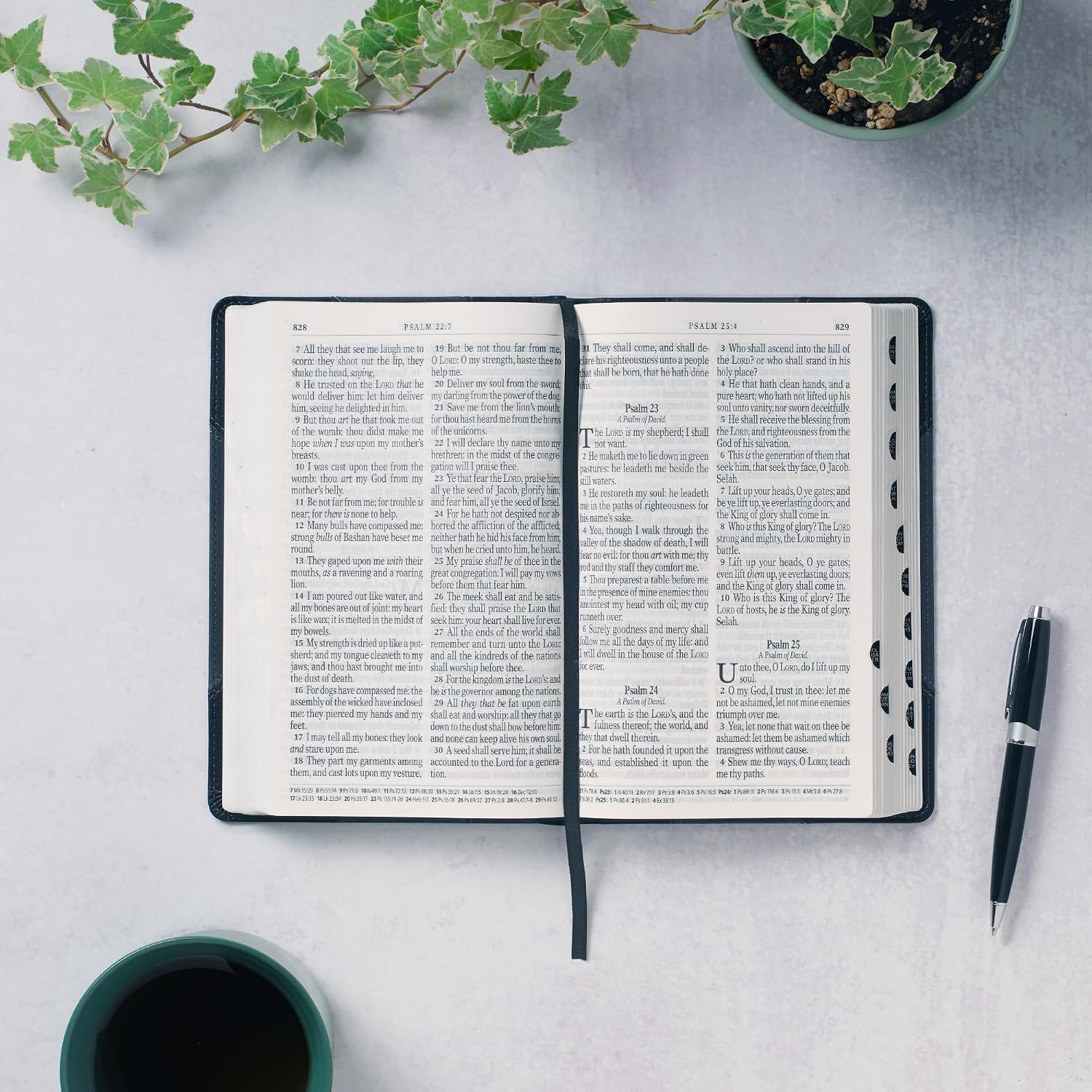 KJV Holy Bible, Giant Print Standard Size Faux Leather Red Letter Edition - Ribbon Marker, King James Version, Black /Gray (KJV Standard GP Editions)