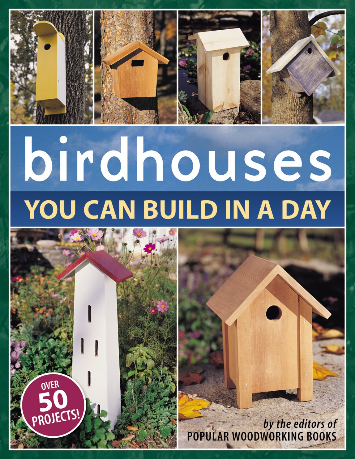 Birdhouses You Can Build in a Day (Popular Woodworking)      Kindle Edition