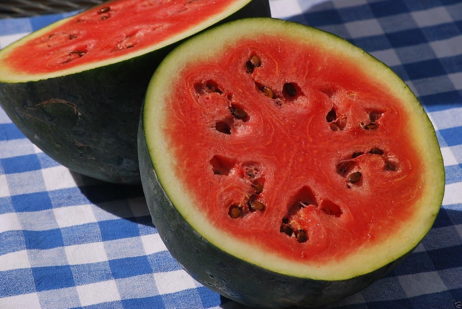 100 Watermelon seeds“icebox” watermelon, Sugar Baby- NON-GMO Heirloom.