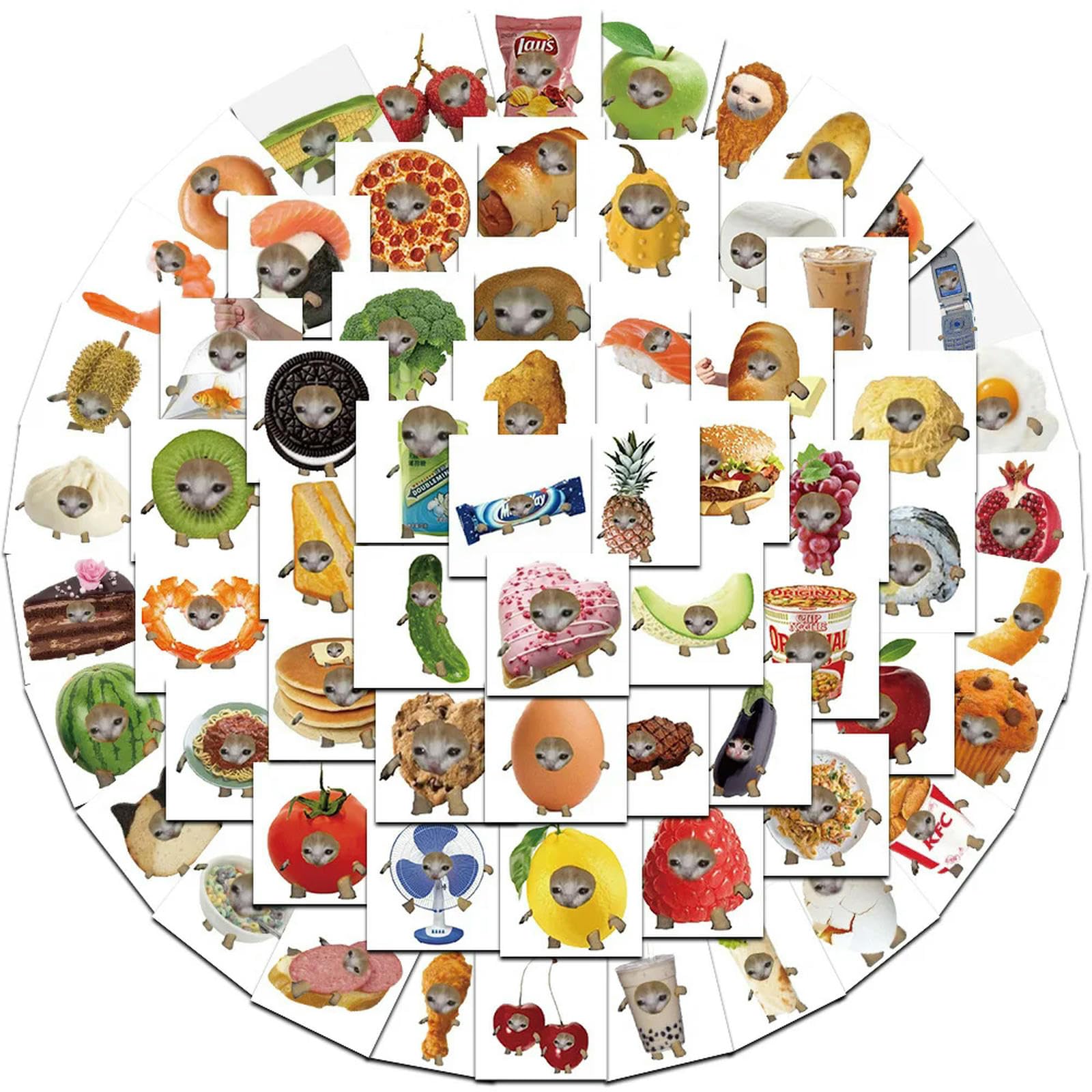 TVIVID 69PCS Funny Meme Cat and Food Cute Graffiti Stickers for Toy Luggage Laptop Ipad Skateboard Phone Car Stickers