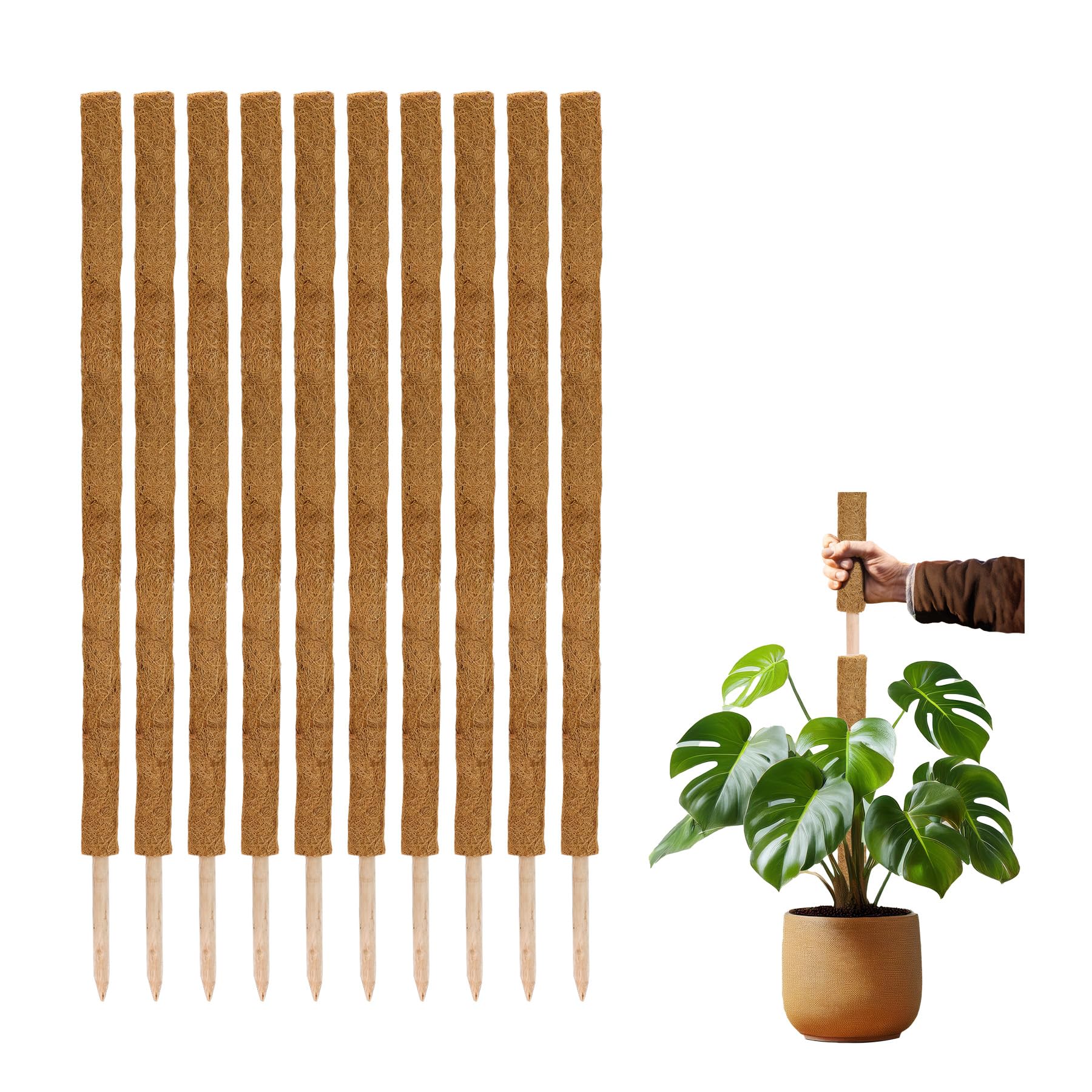 La cordeline Lot 10 Tuteurs Plante Grimpante 120 cm, Support Coco Naturel, Extension tuteur pour Monstera, Jardin, Plante Maison, Marron
