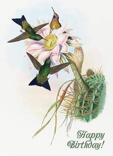 Miniatura 9 de PIXILUV Tarjeta de felicitación de feliz cumpleaños  Payasos divertidos haciendo trucos  Deseos de cumpleaños Vintage Tarjeta de felicitación grande