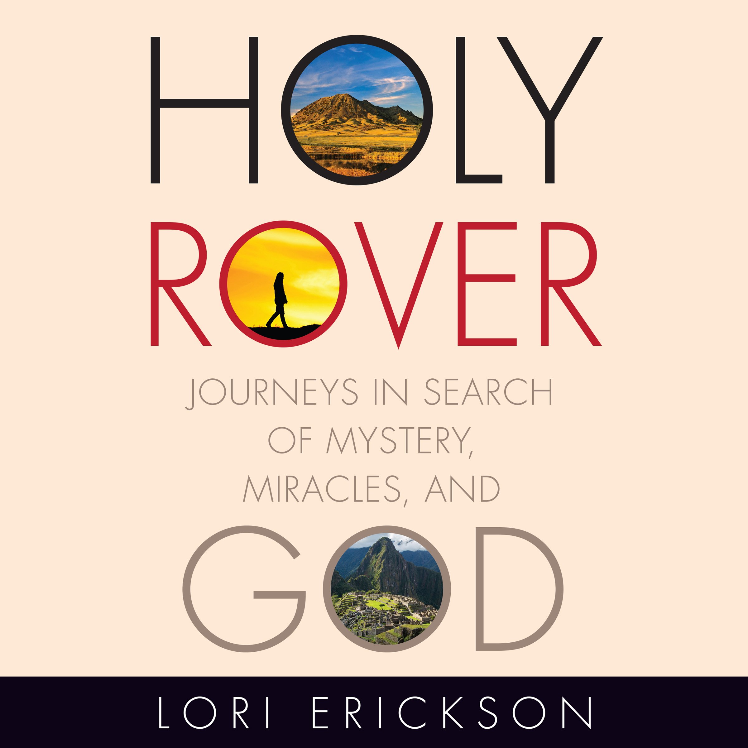 Cover art for Holy Rover