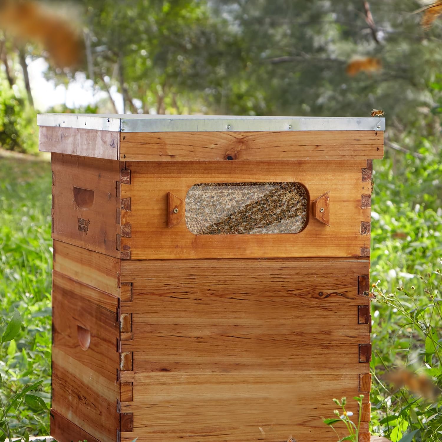 Honey Keeper Medium Super Brood Box with Window, 100% Beeswax Coated Beehive Kit with 10 Wooden Frames and Waxed Foundations for Langstroth Beekeeping