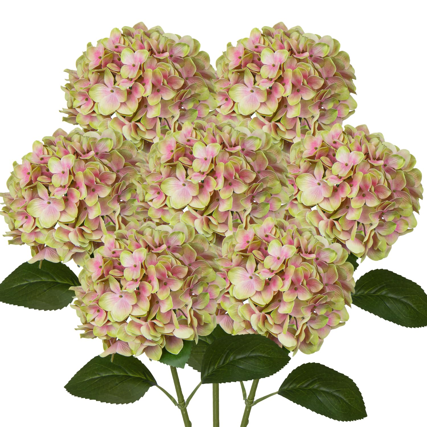 DILATATA 6 Pcs Real Touch Hydrangea