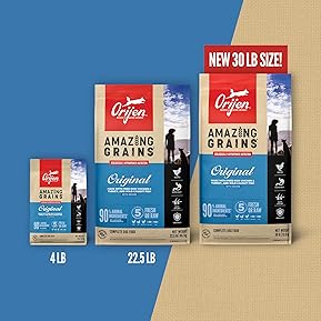 Best Orijen Amazing Grains Dry Dog Food 2 81jsOrvgG0L. AC SL289