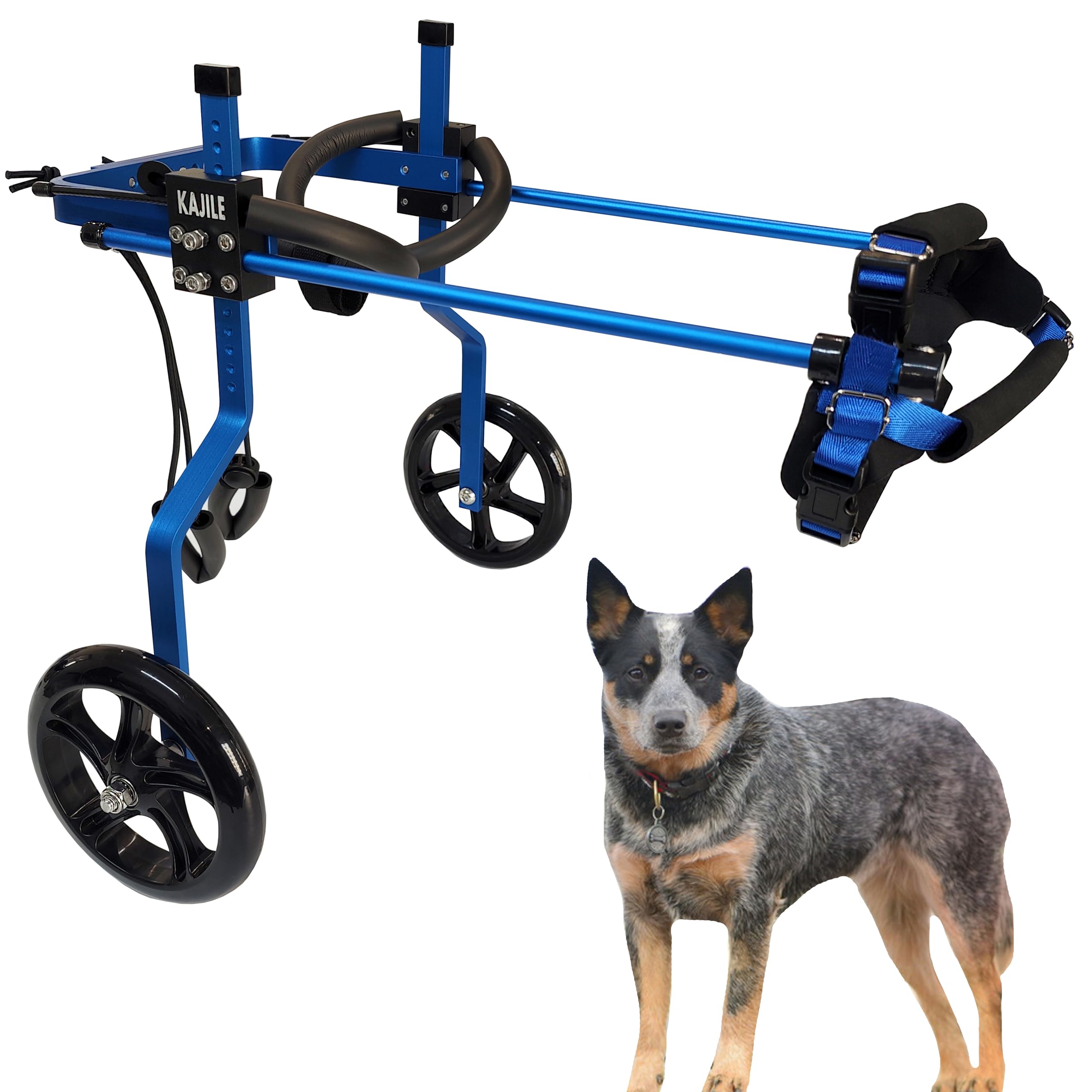 KAJILE Adjustable Dog Wheelchair,Dog Hind Leg Rehabilitation,Blue,M-3 โ image 1